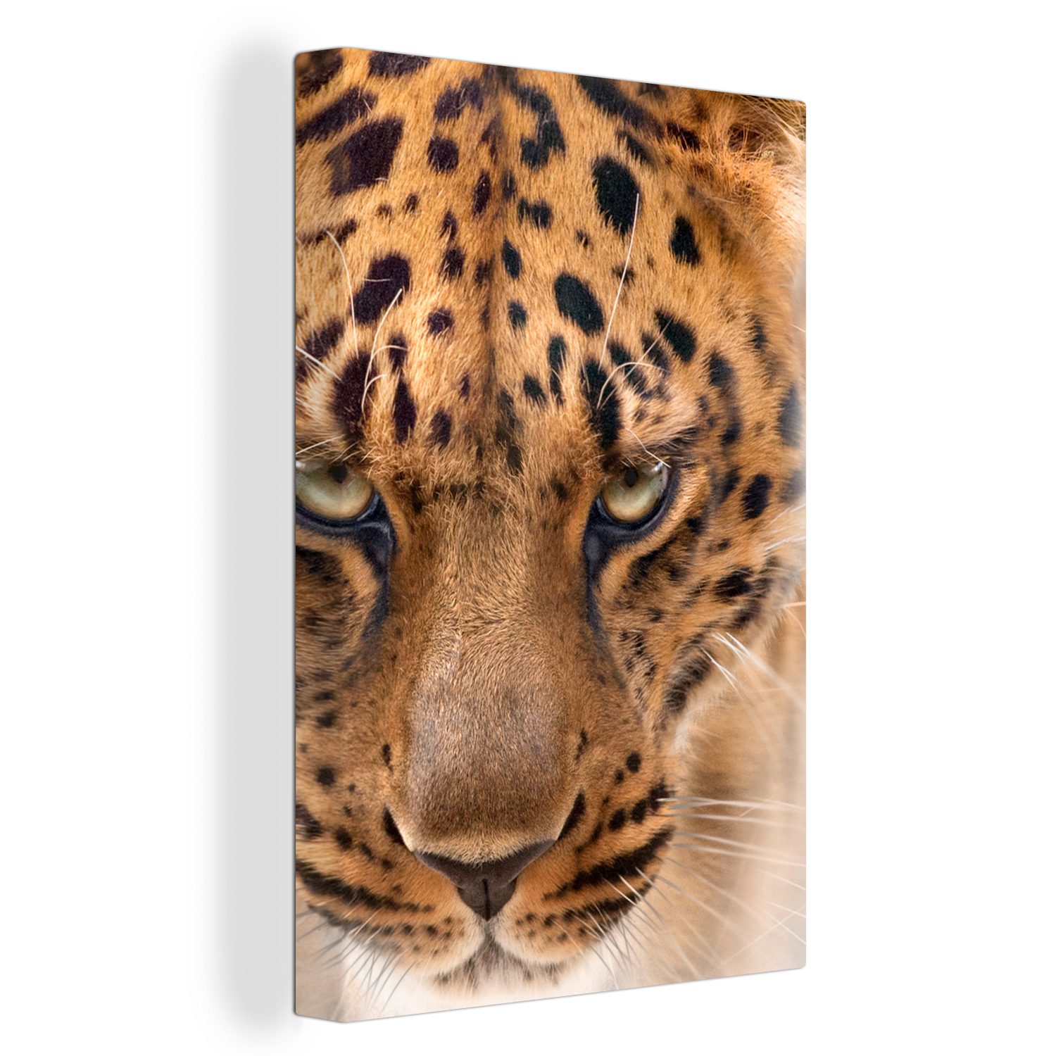 OneMillionCanvasses® Leinwandbild Leopard fertig cm Gesicht, bespannt - - inkl. (1 Zackenaufhänger, 20x30 St), Porträt Leinwandbild Gemälde