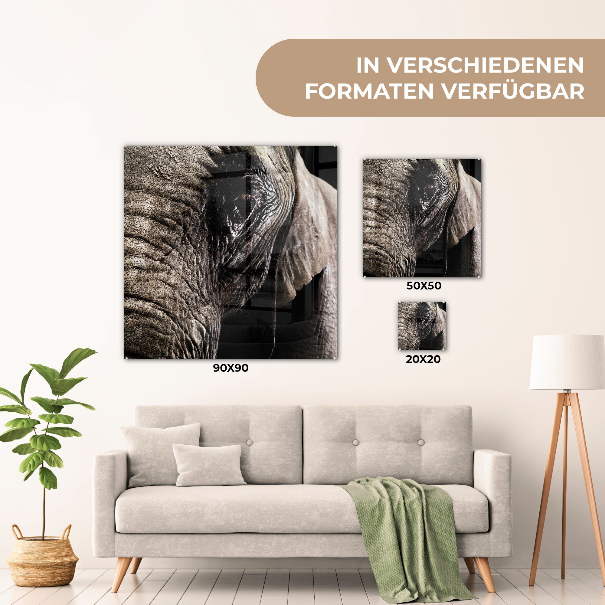 Wanddekoration Tiere Glasbilder Acrylglasbild Schwarz, - - - MuchoWow - Elefant Foto - (1 Nahaufnahme - St), Glas auf Bilder auf Wandbild Glas