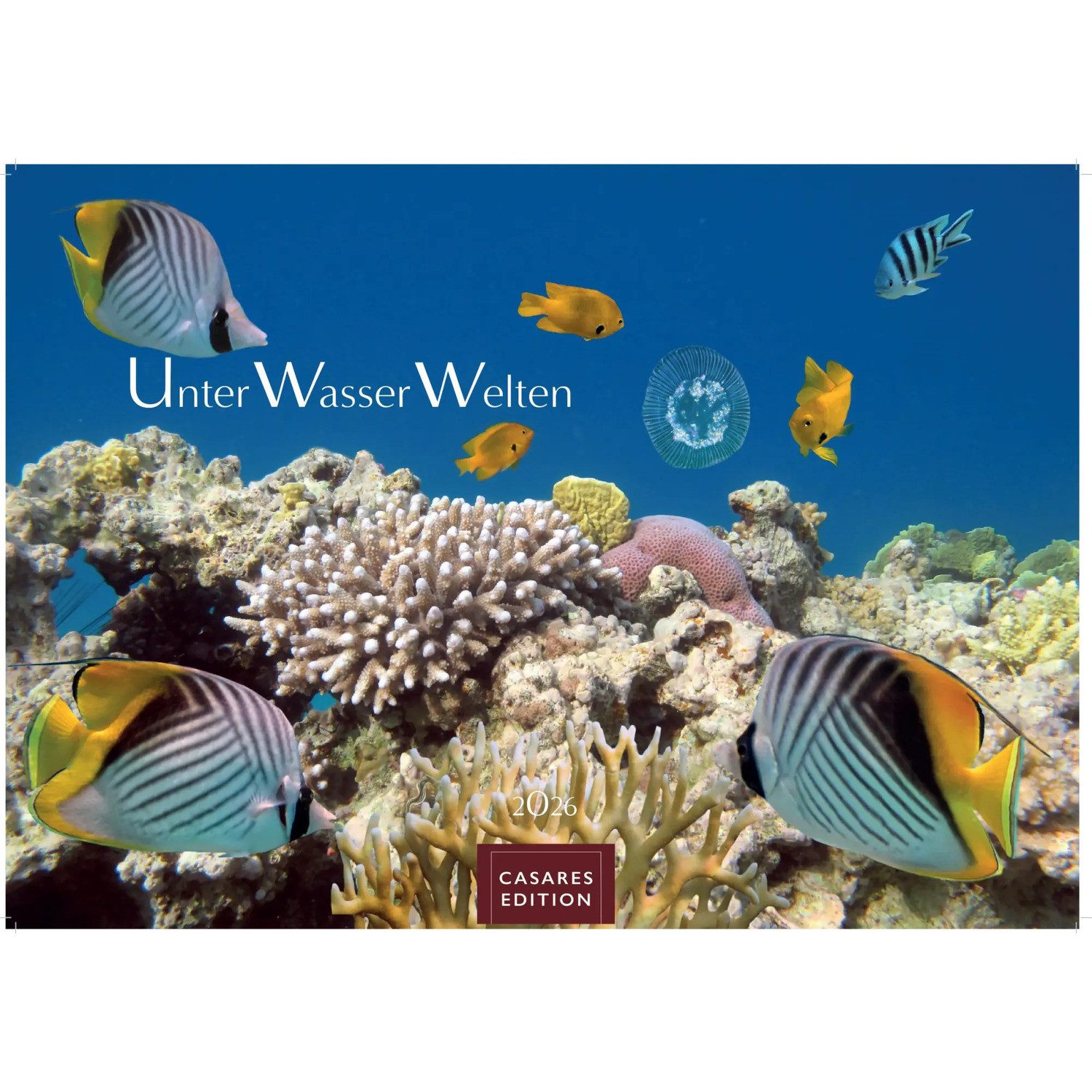 Wandkalender Unterwasserwelten Kalender 2026 - Wandkalender, Fotokalender...