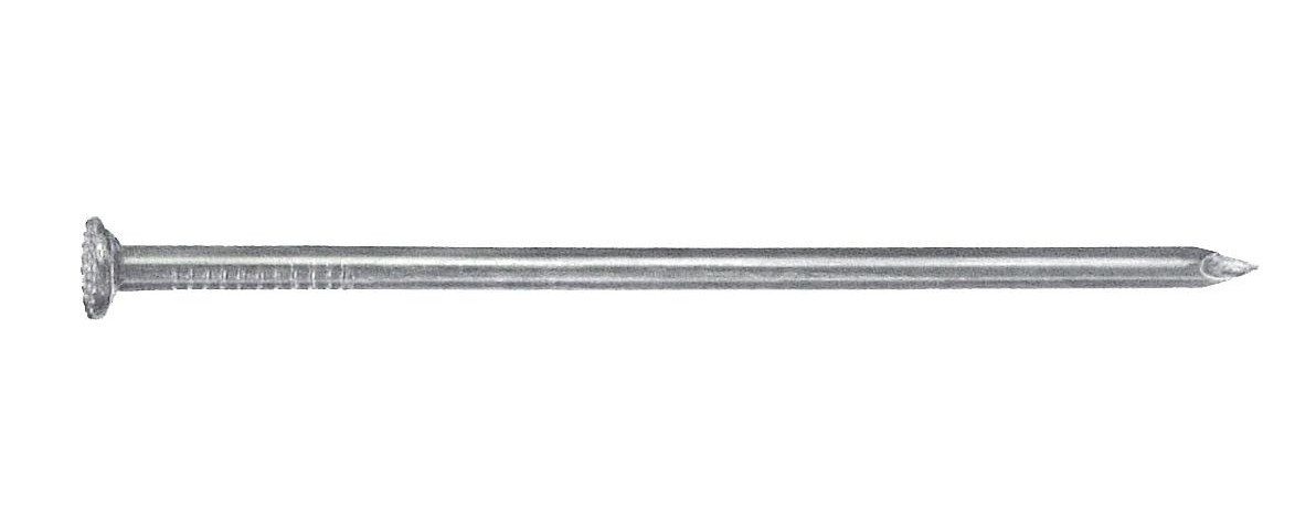 Trend Line Drahtstift Connex Drahtnägel 3.8 x 100 mm Senkkopf - 1 kg