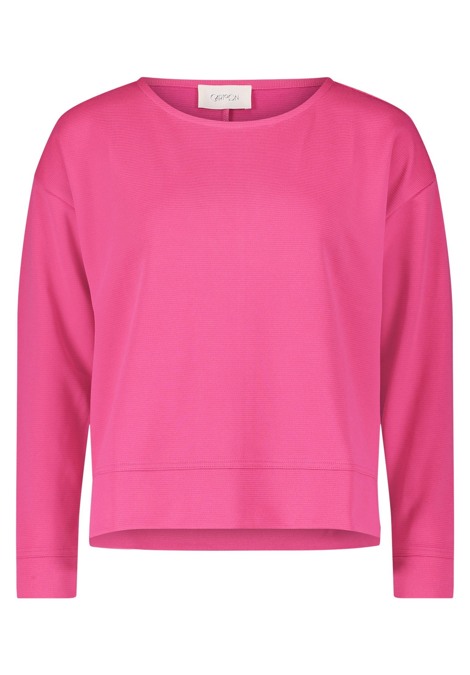 Cartoon Sweatshirt Cartoon Sweatshirt mit Struktur Material