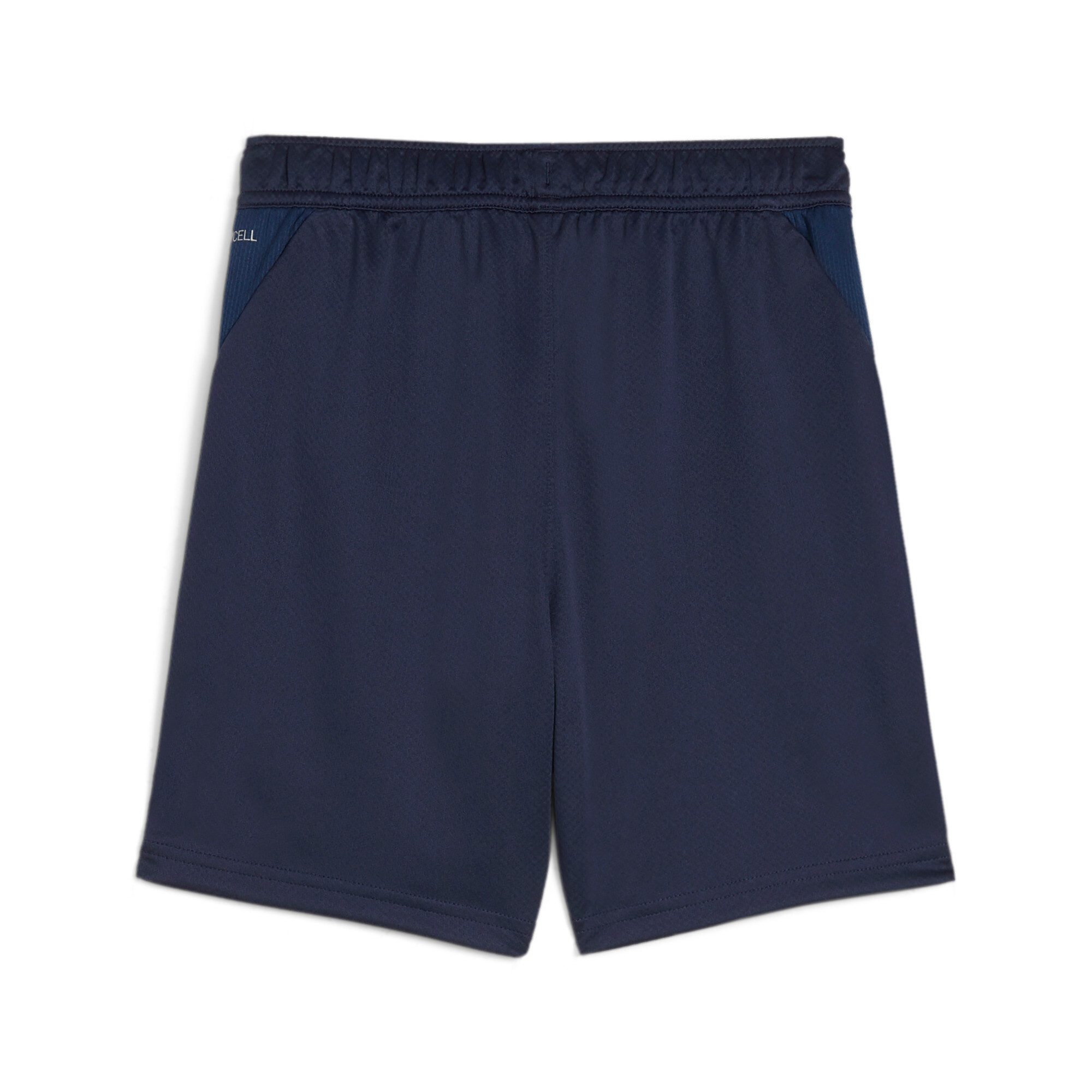 PUMA Trainingsshorts TEAMGOAL TRAINING SHORT JR günstig online kaufen