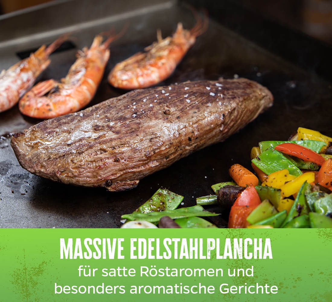 Grillfürst Camping-Gasgrill Grillfürst Plancha Grill - 2 Brenner und Edelstahl Plancha