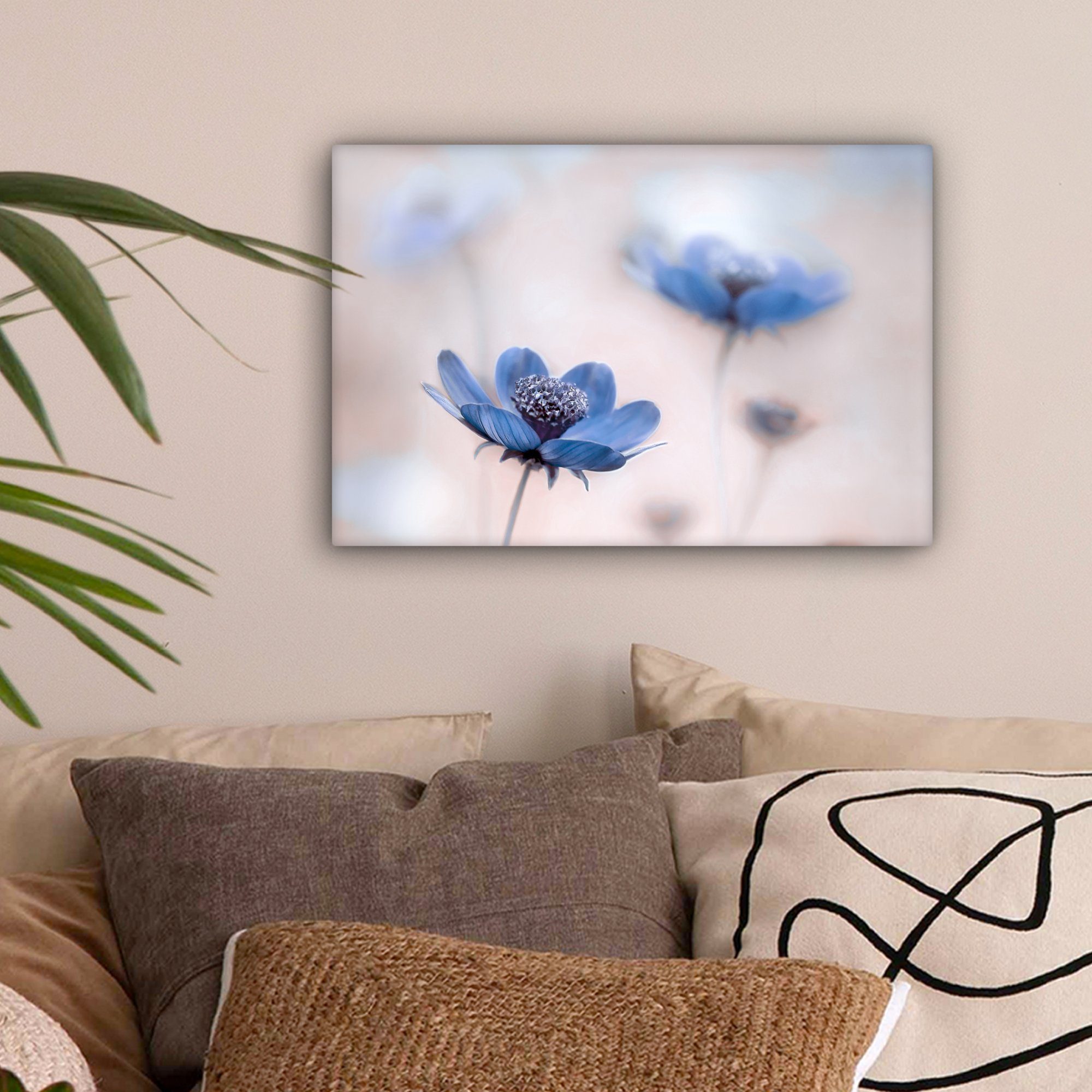 OneMillionCanvasses® Leinwandbild Kosmos - Blumen - Natur - Blau, Fotodruck günstig online kaufen