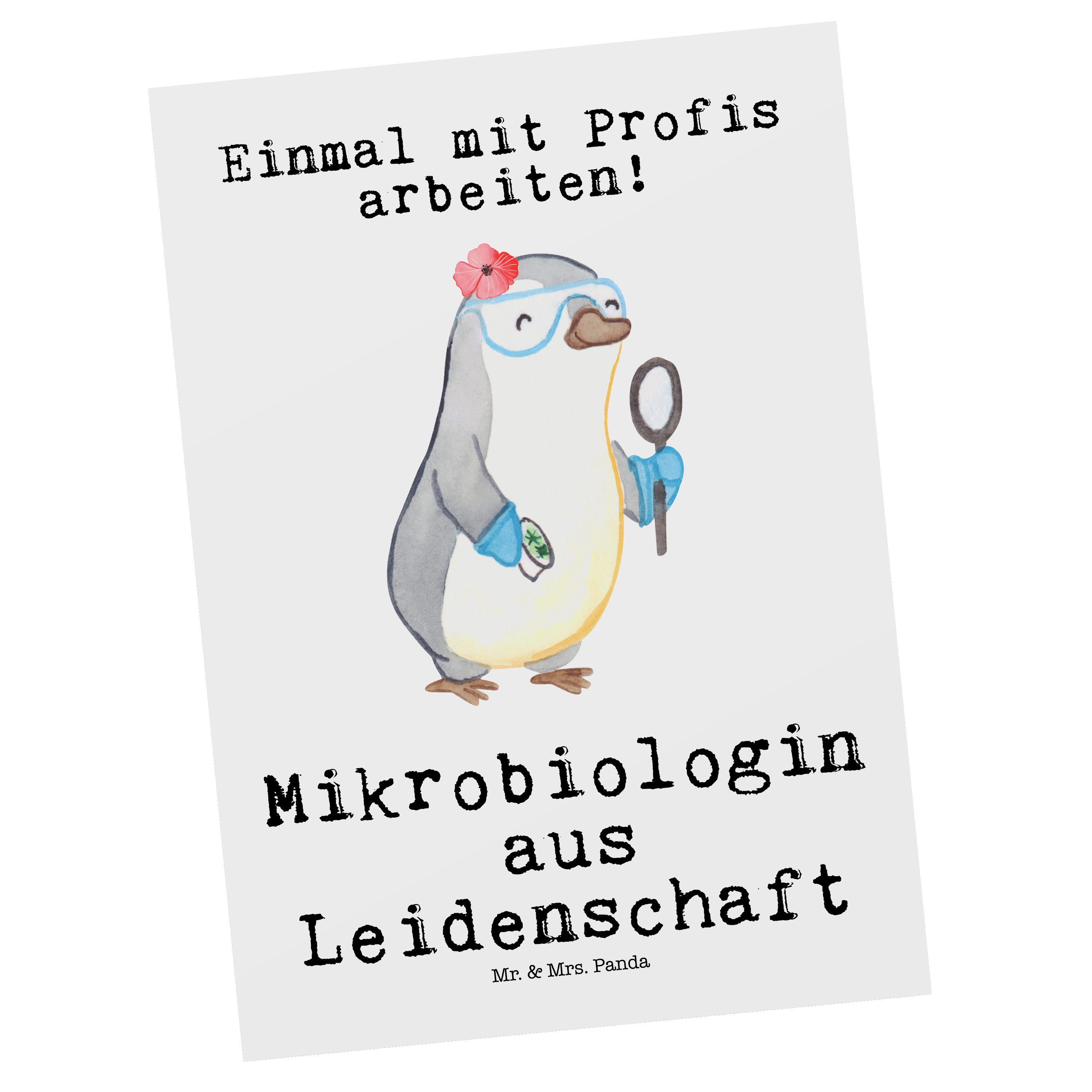- Geburtst Postkarte - Mrs. Panda Geschenk, Weiß & Leidenschaft Mikrobiologin aus Grußkarte, Mr.