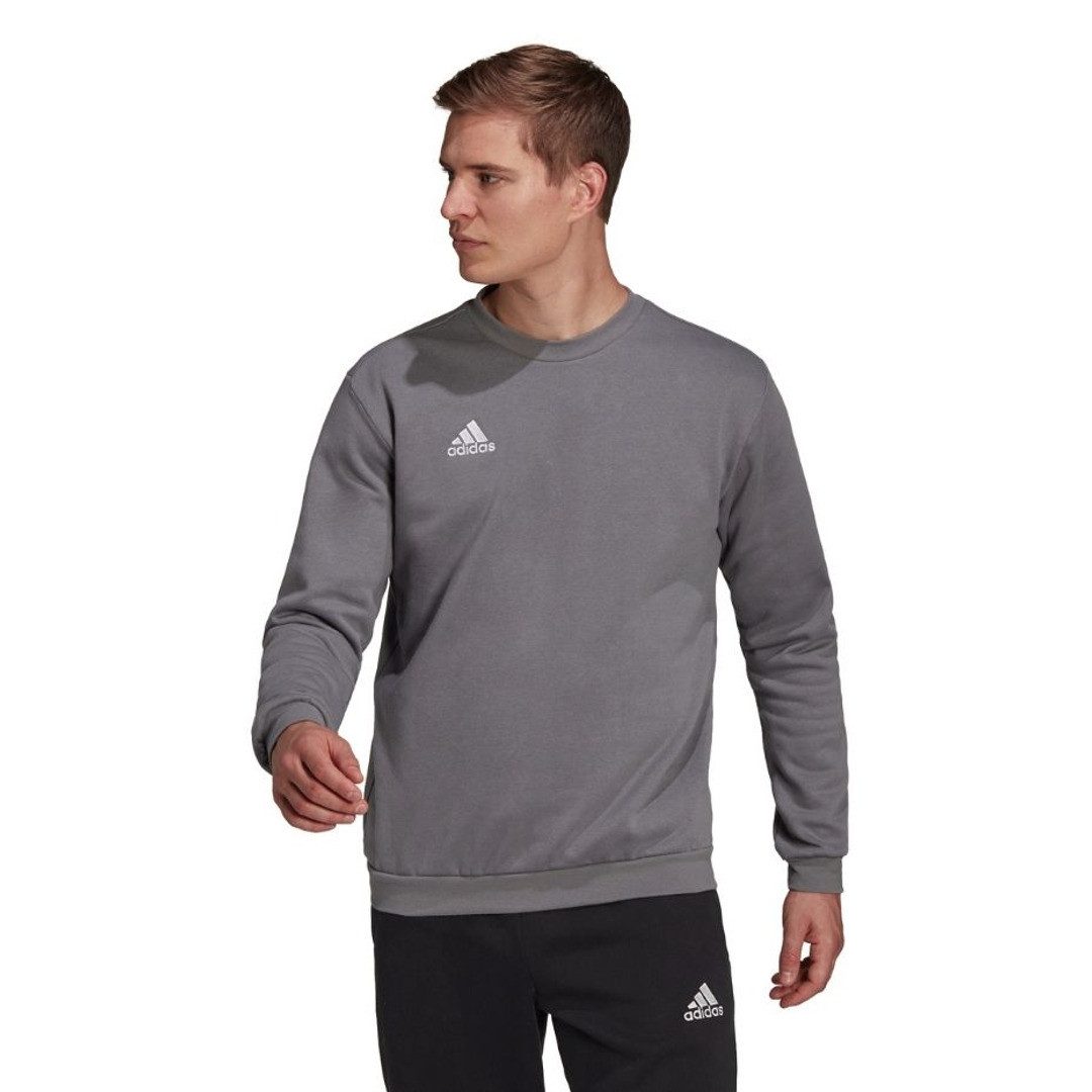 adidas Performance Sweatshirt Entrada 22