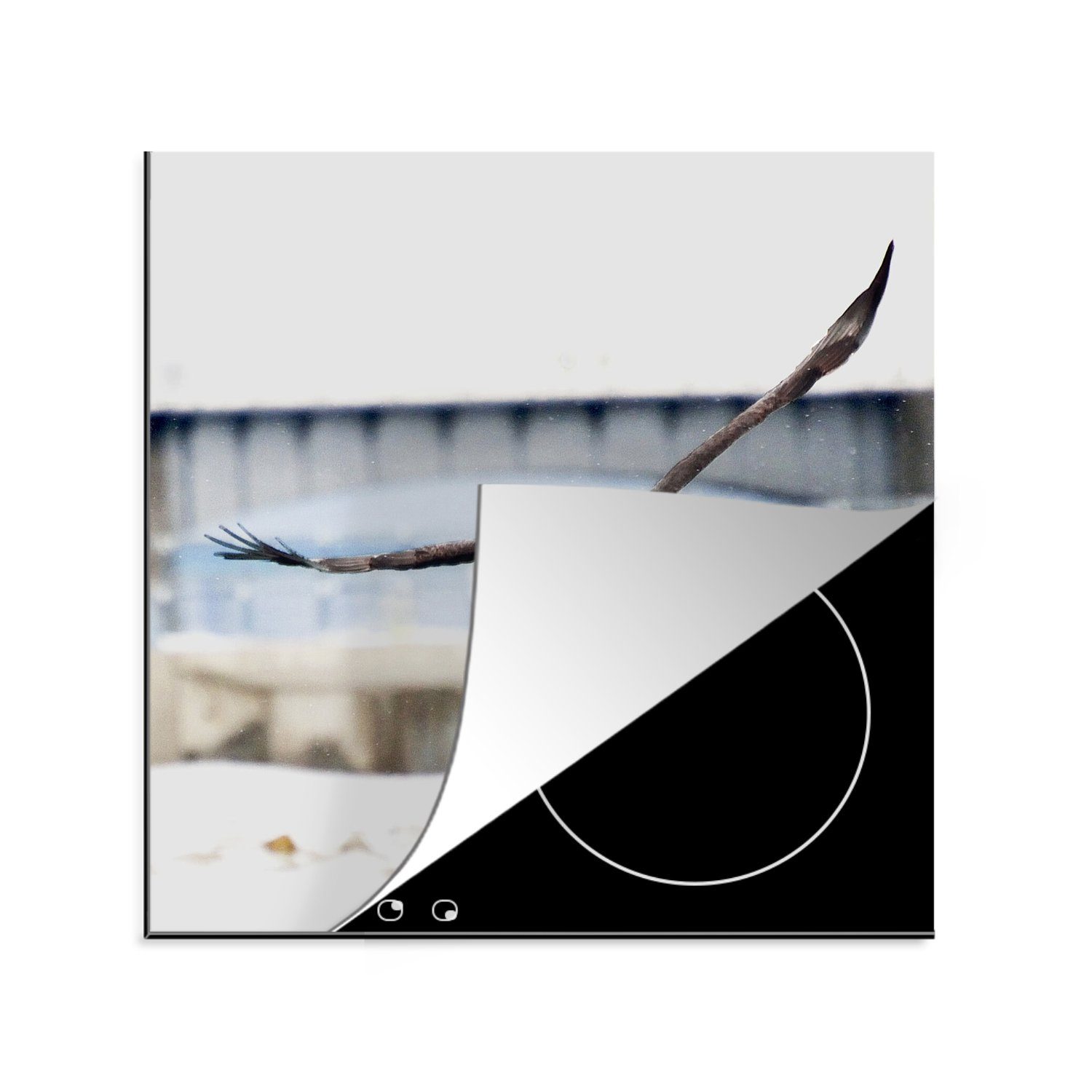 Ceranfeldabdeckung, für Vogel Herdblende-/Abdeckplatte Fliege - 78x78 küche MuchoWow cm, Vinyl, tlg), (1 Arbeitsplatte Adler, -