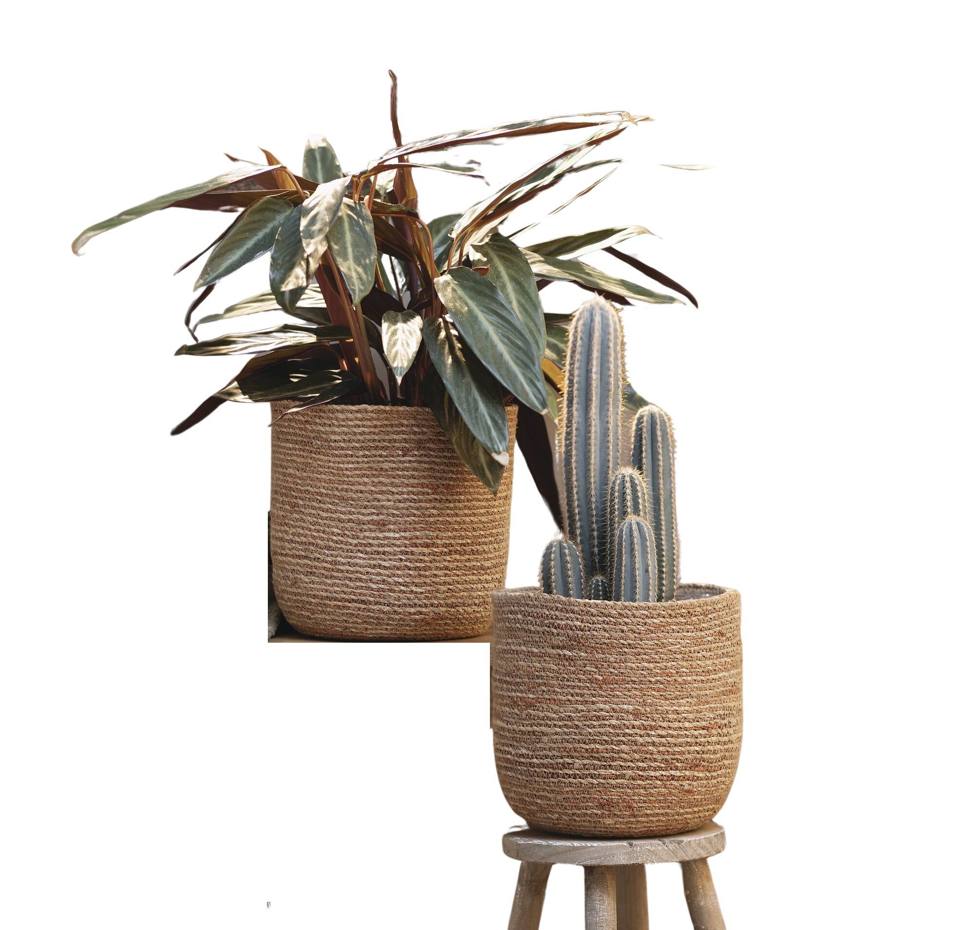 Pflanzkübel Pflanzkorb "Terra" aus Seegras, braun, Blumentopf, Blumenkübel