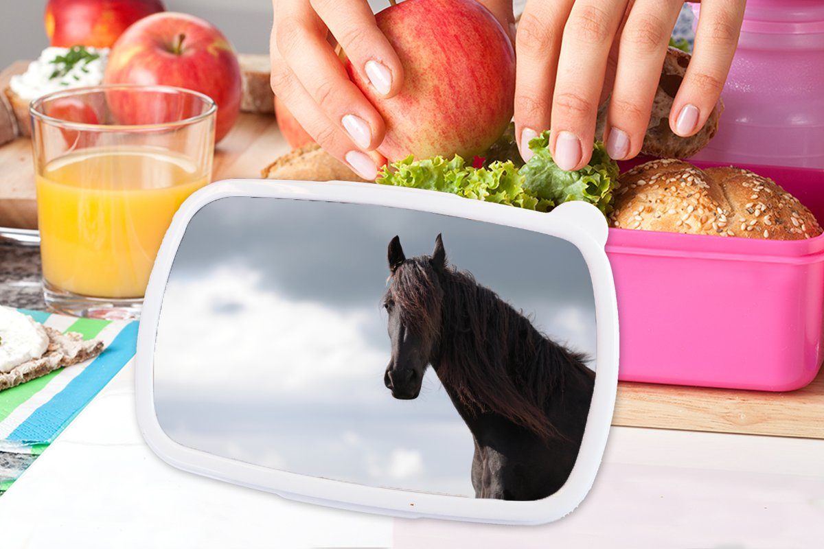 MuchoWow Lunchbox (2-tlg), - Snackbox, - Kunststoff Luft Porträt, Pferde Brotbox Kunststoff, Brotdose Kinder, Erwachsene, rosa Mädchen, für