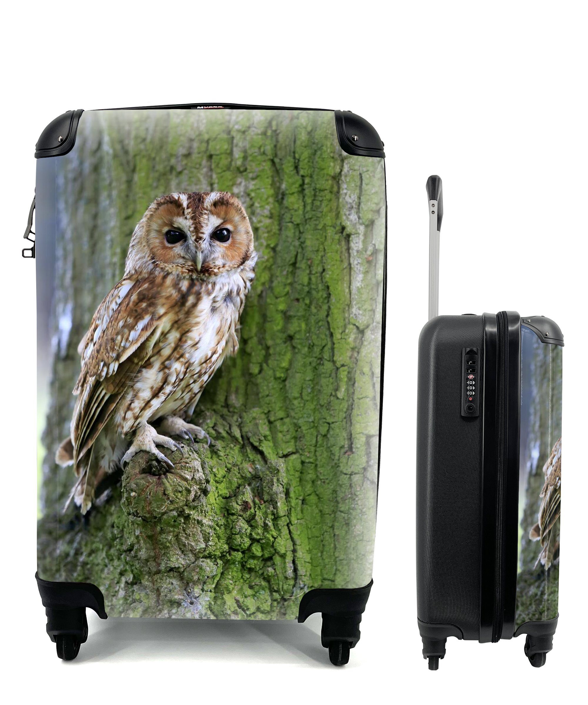 Reisekoffer Waldkauz auf einem MuchoWow Moos, für Ferien, 4 mit Rollen, mit Trolley, Ein Reisetasche Baum rollen, Handgepäckkoffer Handgepäck