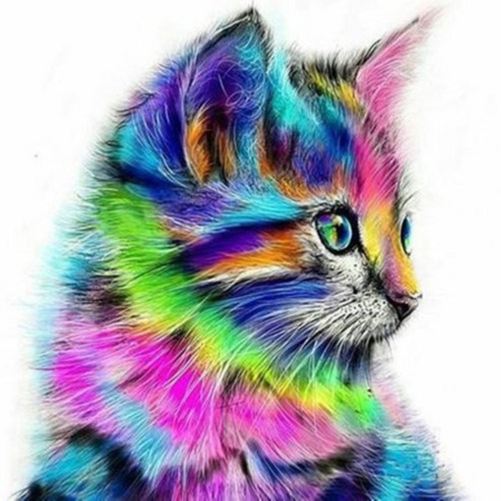 Realb2b Malen nach Zahlen 5d Diamond Painting Bunte Katze Malen nach Zahlen 15x20cm (Komplettset für 5D Diamond Painting inklusive Leinwand, Diamanten und Werkzeugen, Diamond Painting Set mit Zubehör für DIY-Kreativität und Entspannung), 15x20cm 5D Diamond Painting mit präziser Klebeschicht & Zubehör