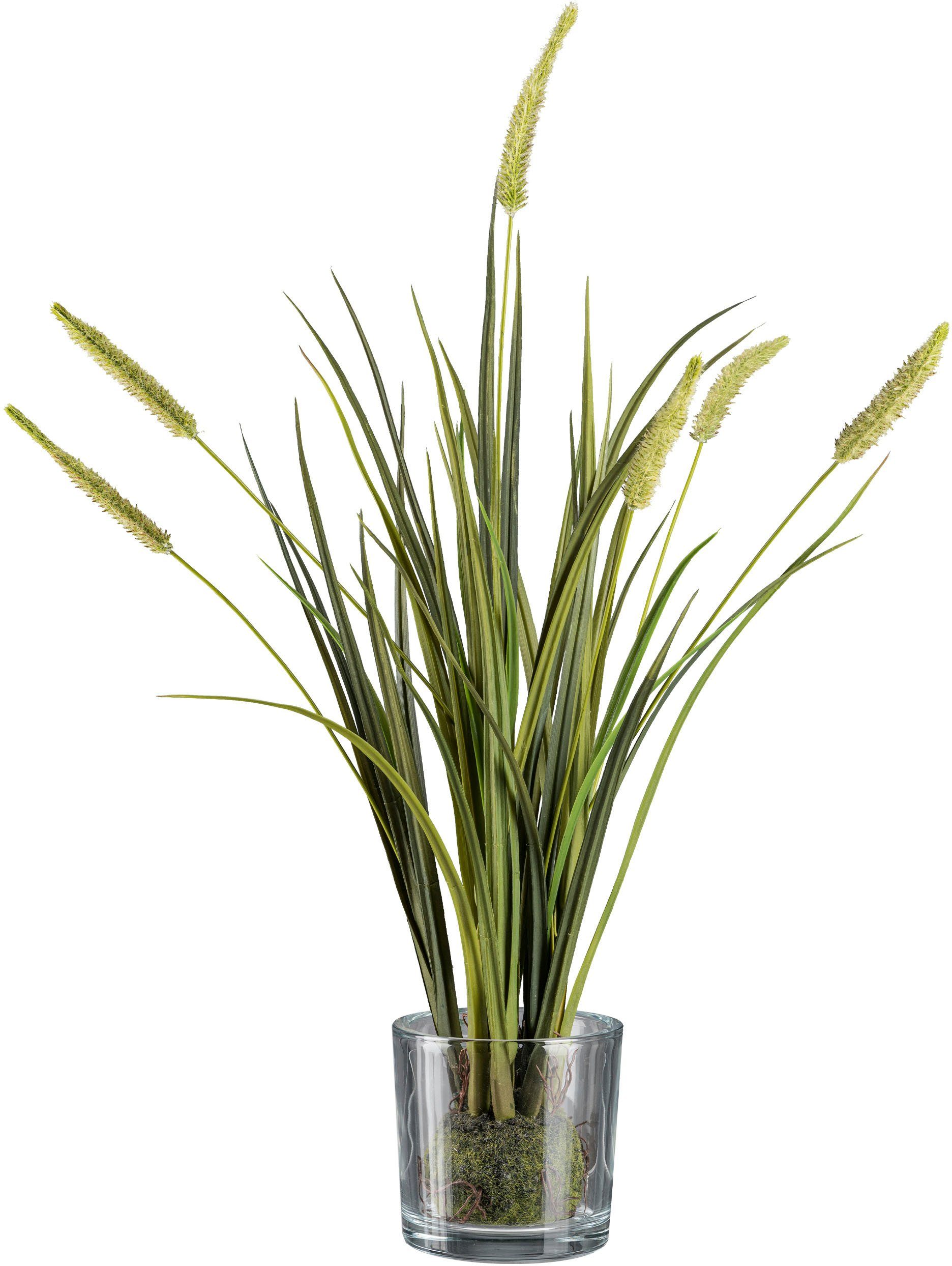 Kunstgras Grasbusch Miscanthus im Erdballen mit günstig online kaufen