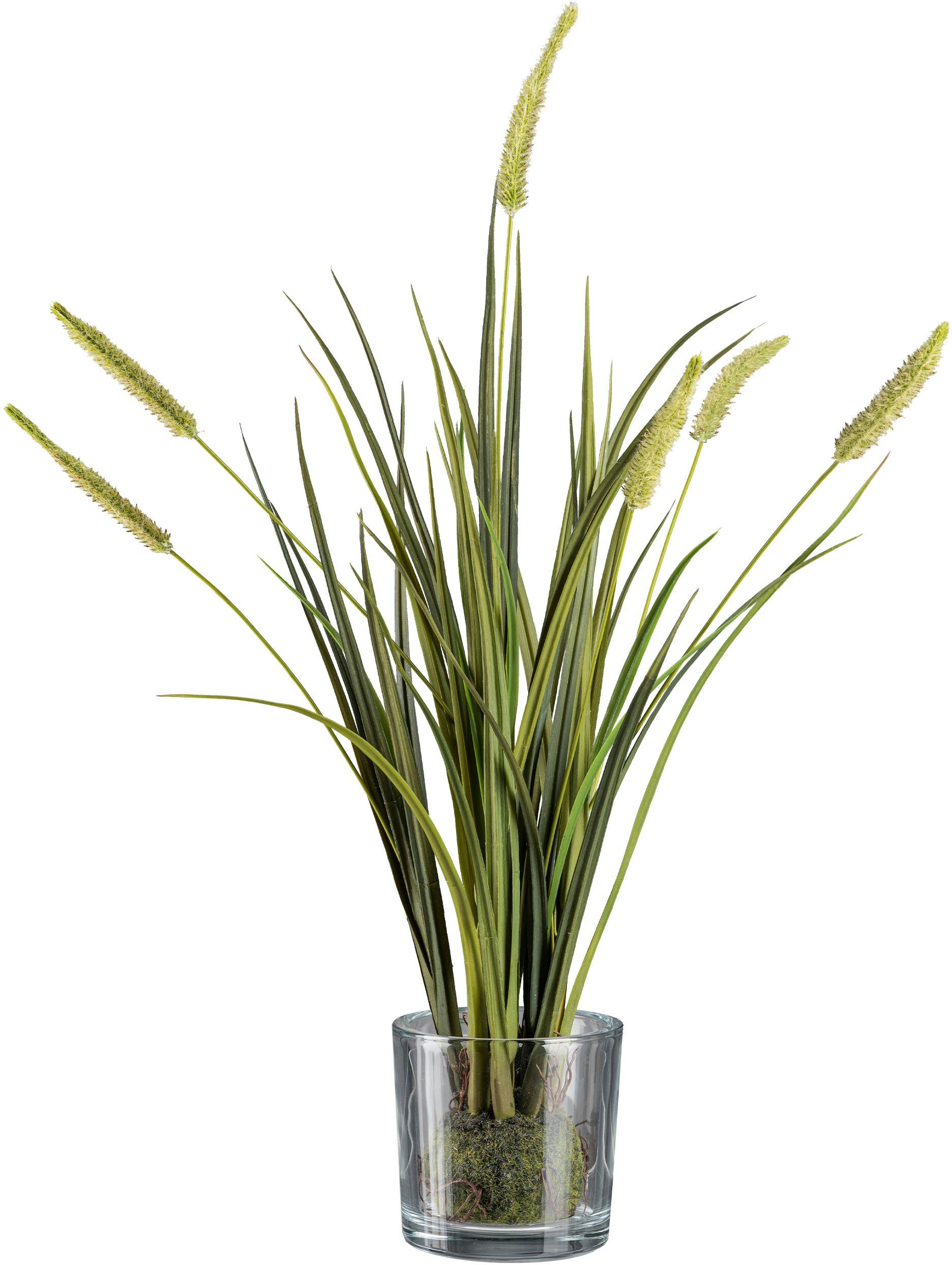 Kunstgras Grasbusch Miscanthus im Erdballen mit Glas Gras, Creativ green,  Höhe 63 cm | Kunstzweige