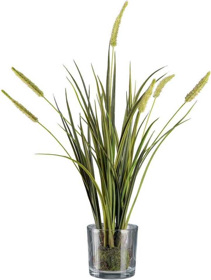 Kunstgras Grasbusch Miscanthus im Erdballen mit Glas Gras, Creativ green,  Höhe 63 cm