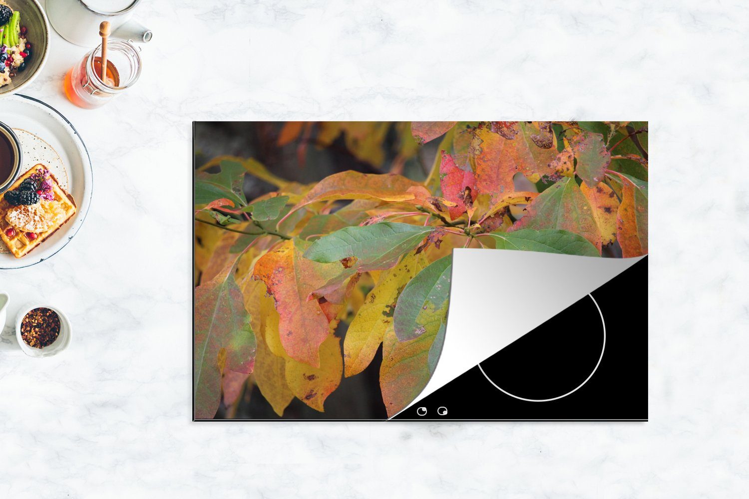 MuchoWow Herdblende-/Abdeckplatte Herbstfarben Ceranfeldabdeckung die Schutz 81x52 Vinyl, der für Sassafrasblätter, küche, (1 tlg), cm, Induktionskochfeld