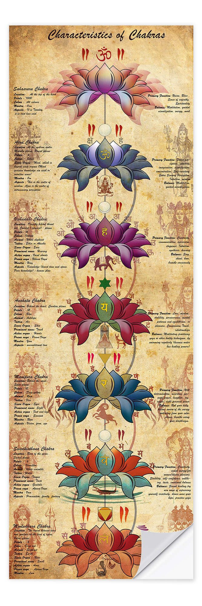 Wandbild Characterstics of Chakras (Englisch)