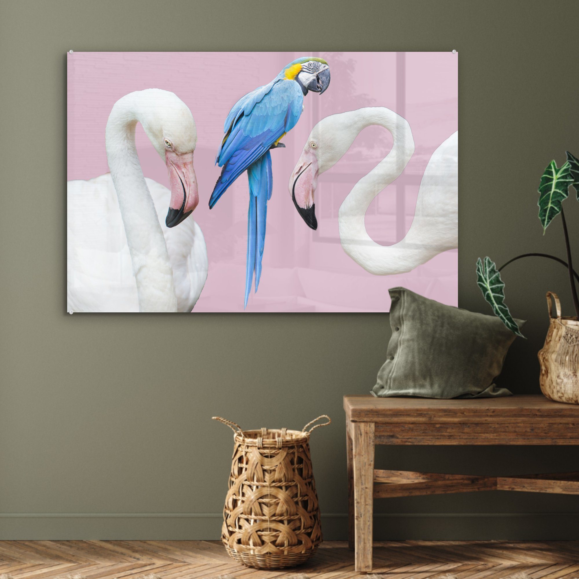 Wohnzimmer Schlafzimmer Acrylglasbilder (1 Acrylglasbild Papagei - St), - Tiere Flamingo - & Abstrakt, MuchoWow