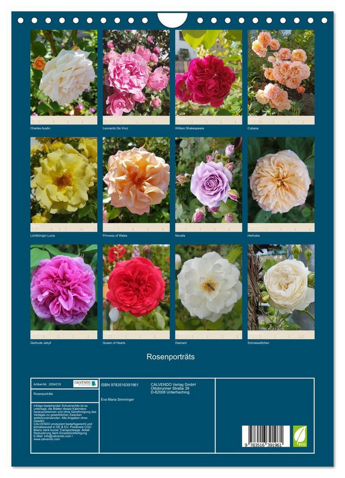 Thumbnail - CALVENDO Wandkalender Rosenporträts (Wandkalender 2026 DIN A4 hoch), CALVENDO Monatskalender