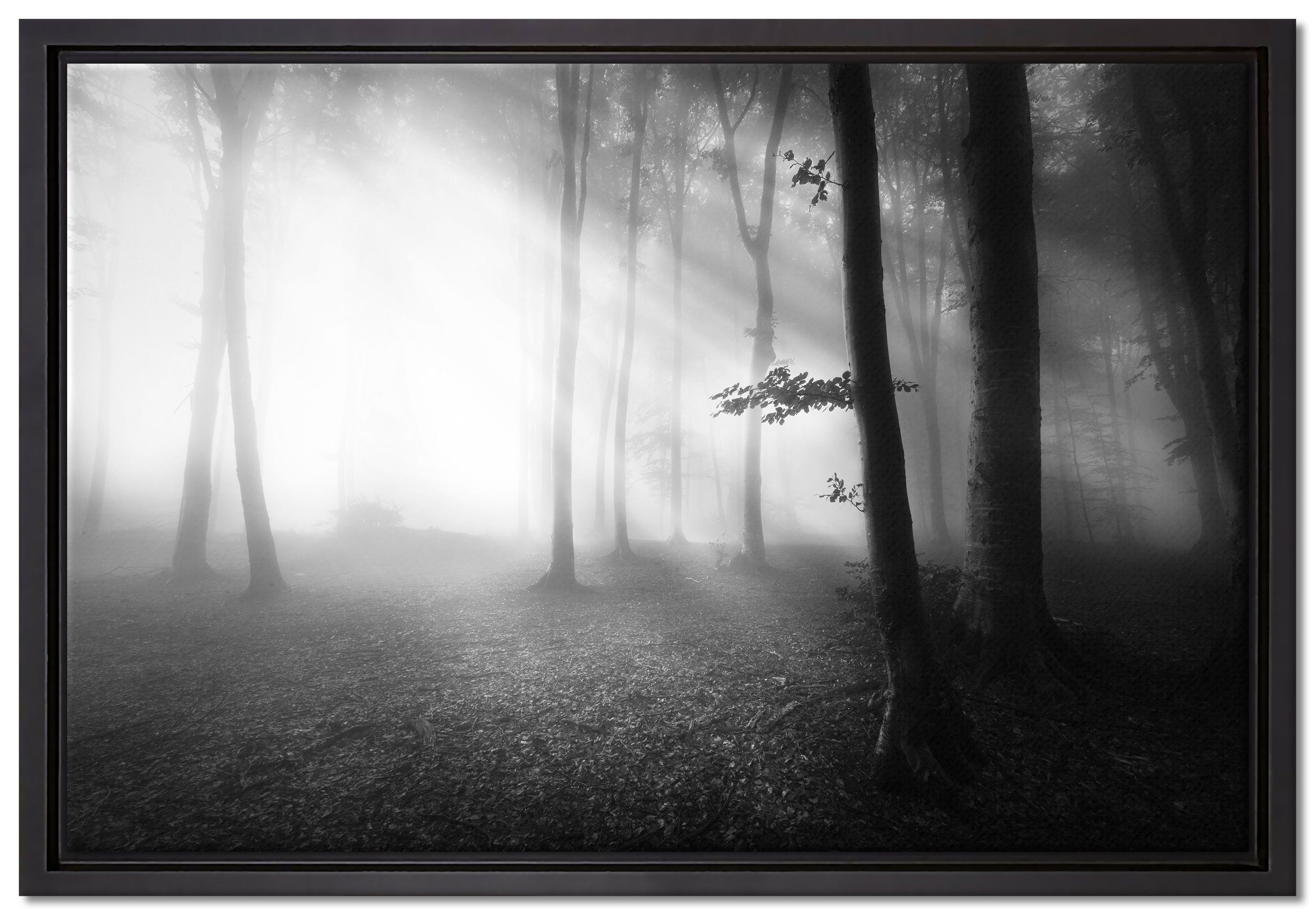 gefasst, in Pixxprint Zackenaufhänger Wald bespannt, Leinwandbild einem Nebel, St), fertig inkl. Schattenfugen-Bilderrahmen Leinwandbild (1 Düsterer im Wanddekoration