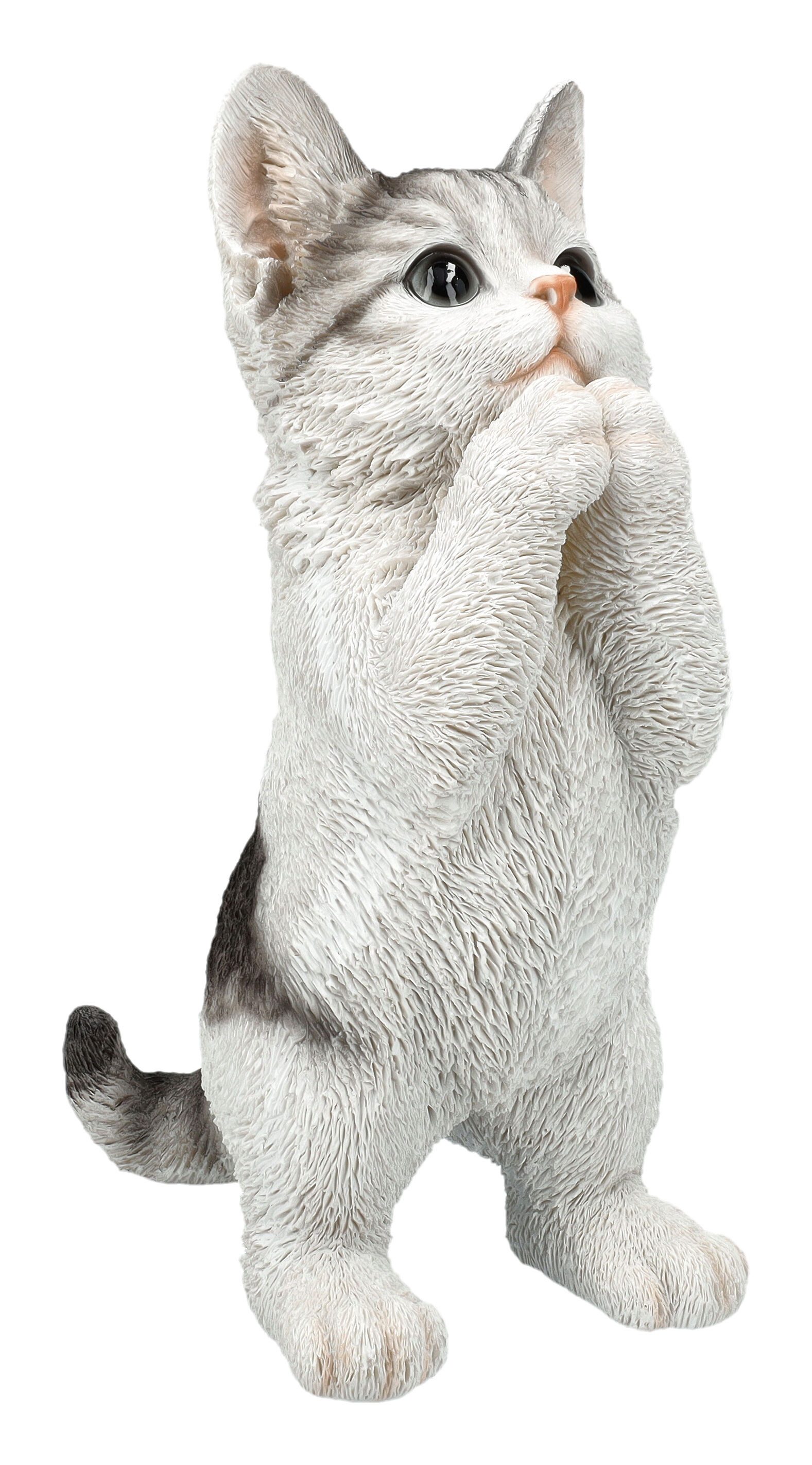 Figuren Shop GmbH Dekofigur Katzenfigur - Kitten bettelt - HotAnt - Dekofigur Katze Gartenfigur