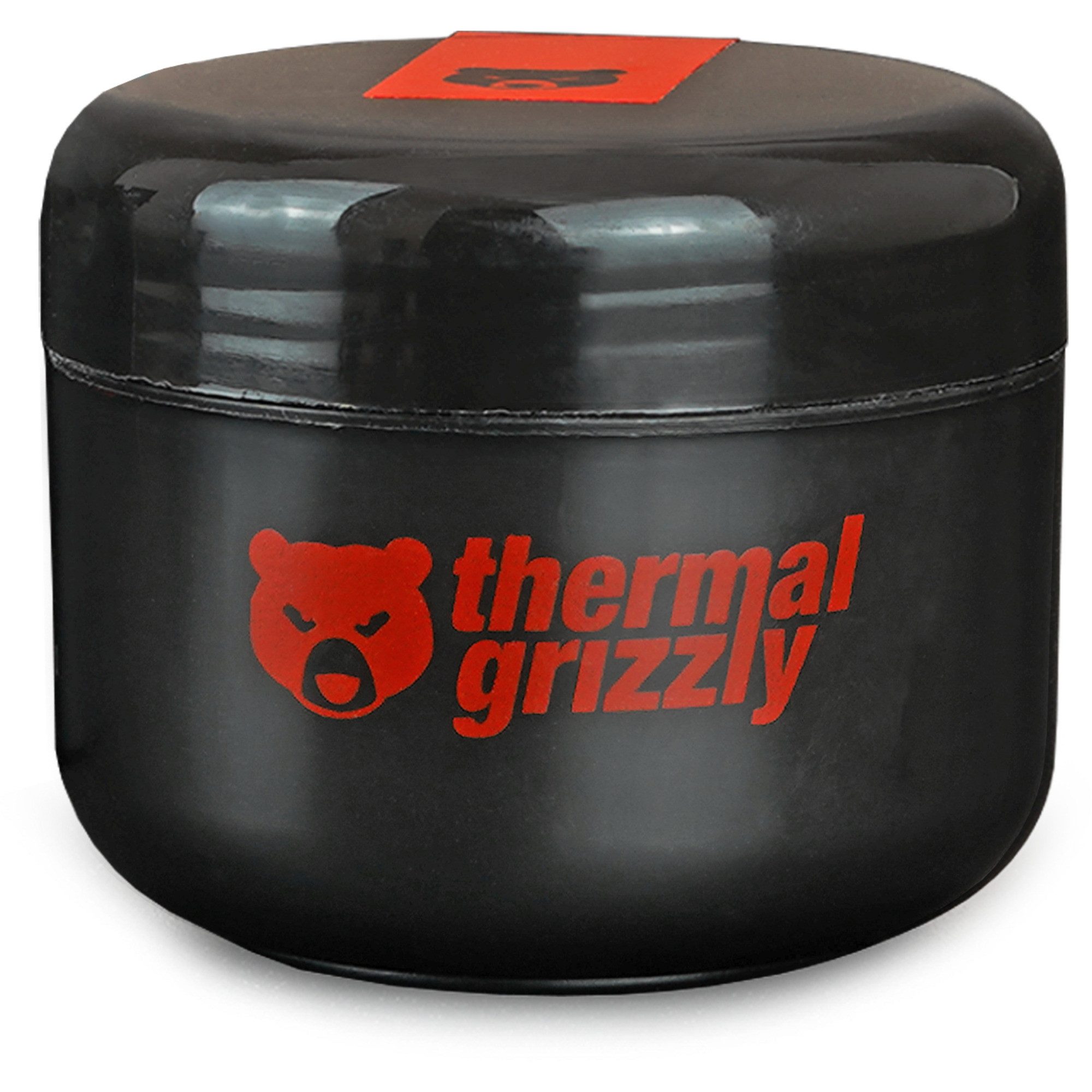 Thermal Grizzly Wärmeleitpaste Thermal Grizzly Putty Pro 100g, Wärmeleitpads