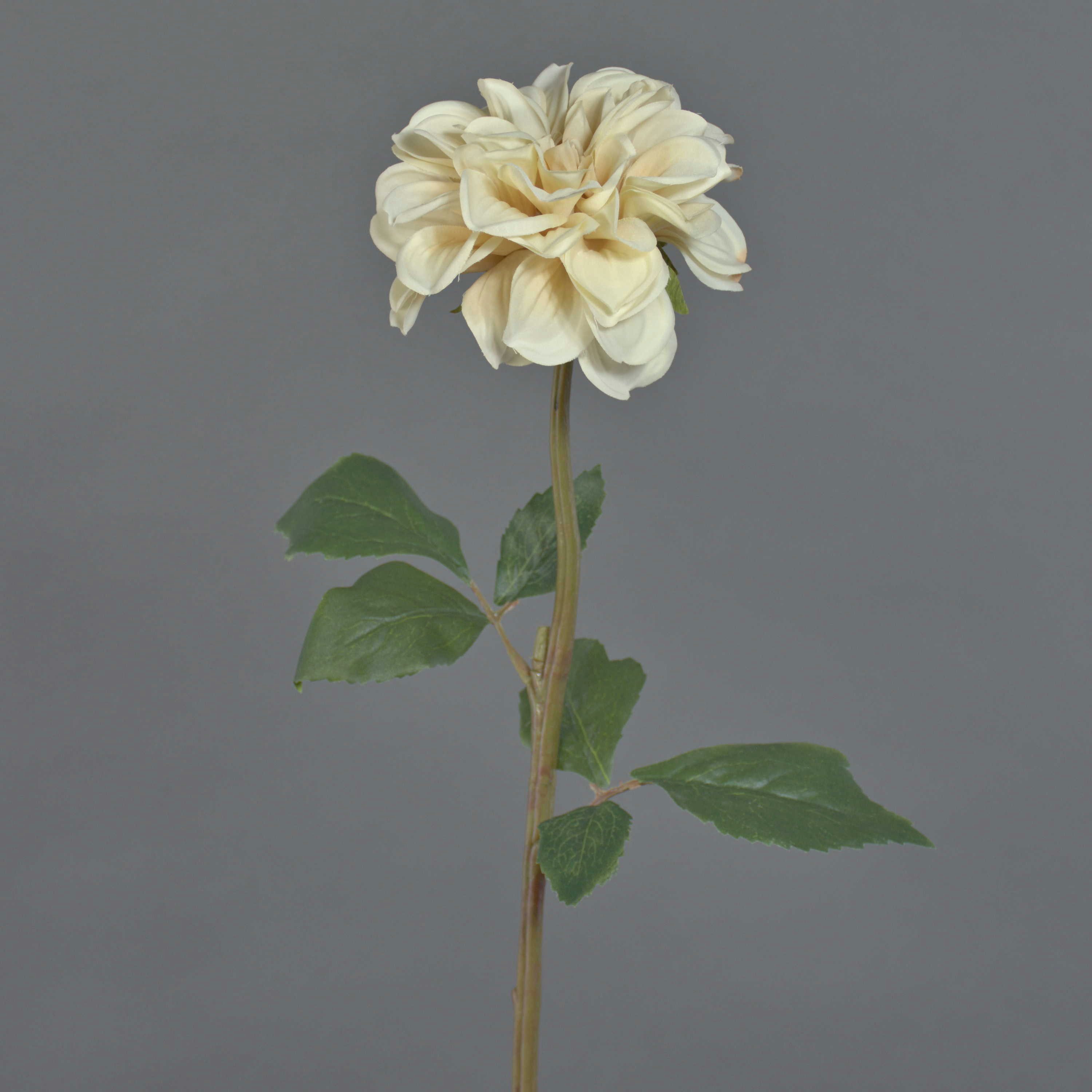 Kunstblume Dahlie BREDANA, beige, 60cm, Ø11cm Dahlie, artplants, Höhe 60.0 cm