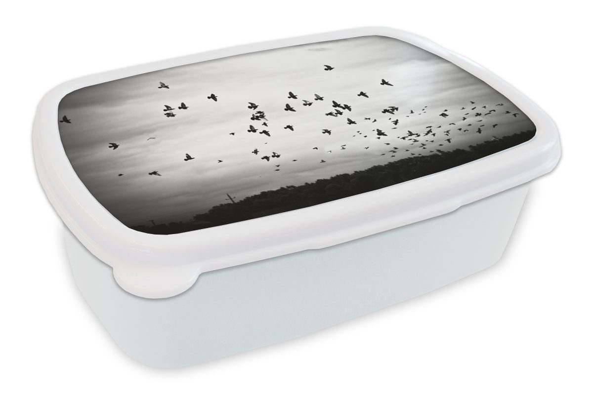 MuchoWow Lunchbox Tiere - Vögel - Wolken - Schwarz - Weiß, Kunststoff, (2-tlg), Brotbox für Kinder und Erwachsene, Brotdose, für Jungs und Mädchen