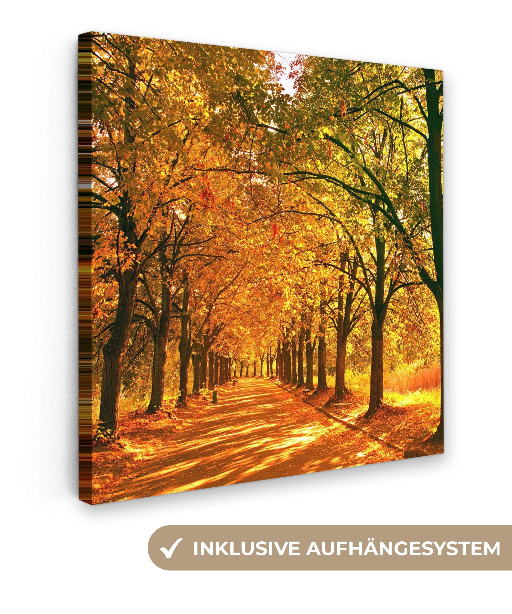OneMillionCanvasses® Leinwandbild Wald - Herbst - Jahreszeiten - Ländlich, günstig online kaufen