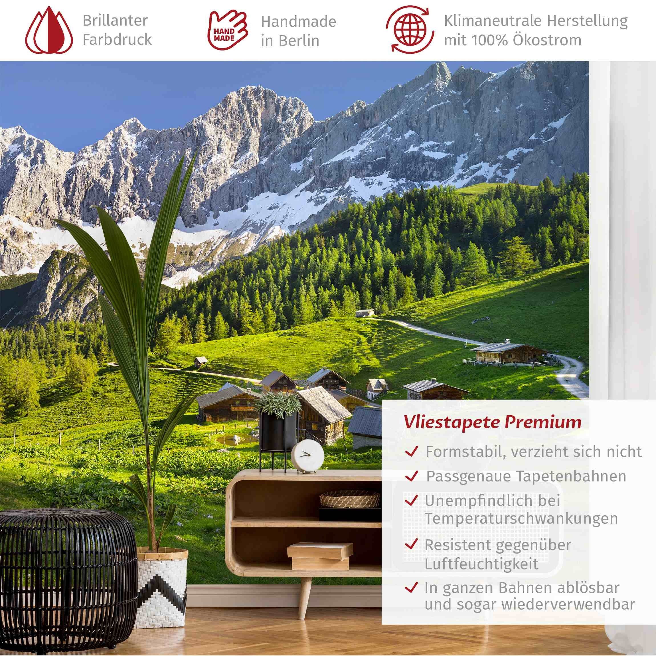 Bilderdepot24 Fototapete Berge Steiermark Almwiese Natur günstig online kaufen