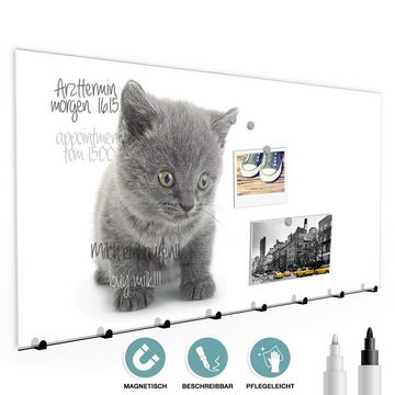 Primedeco Garderobenpaneel Magnetwand und Memoboard aus Glas Graue Katze vor heller Wand