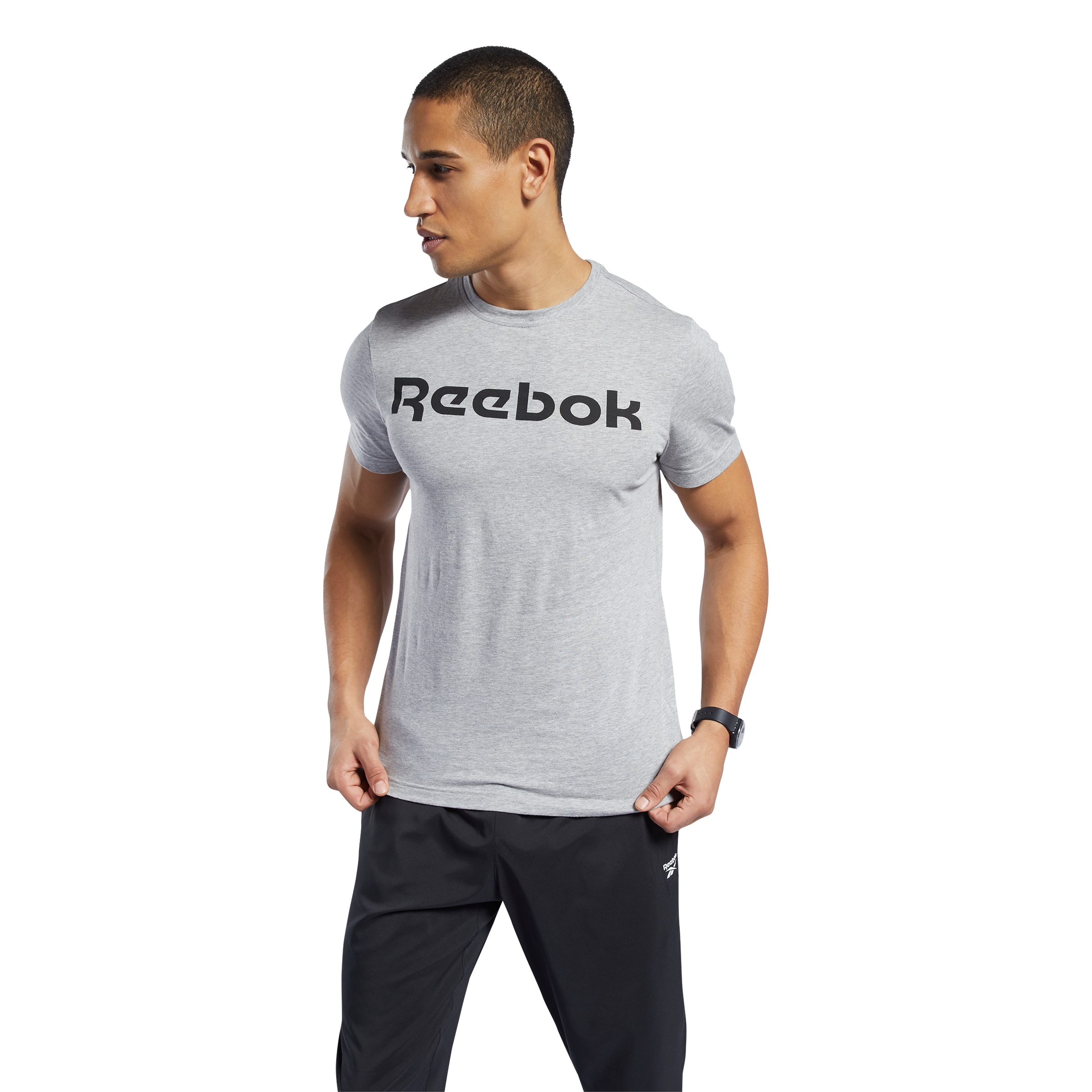 Reebok T-Shirt GRAPHIC SERIES LINEAR LOGO grau