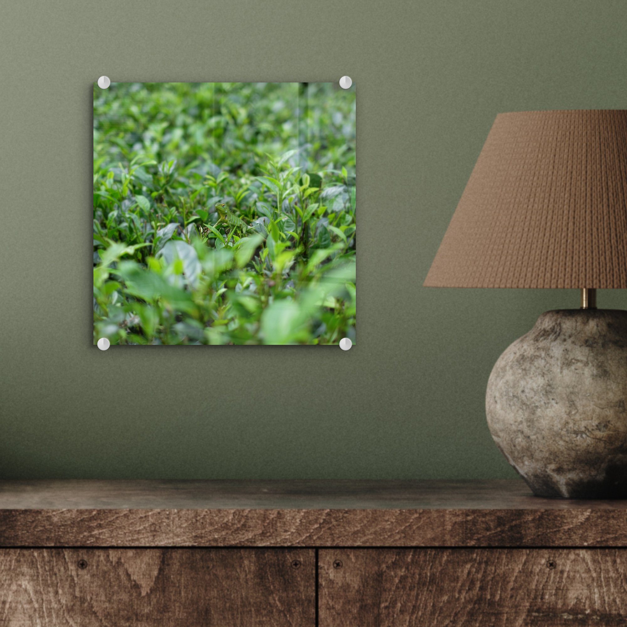 - Wandbild Glas Glasbilder Glas - Bilder auf tropischem auf Grünpflanzen auf (1 St), Foto Acrylglasbild - MuchoWow Boden, Wanddekoration