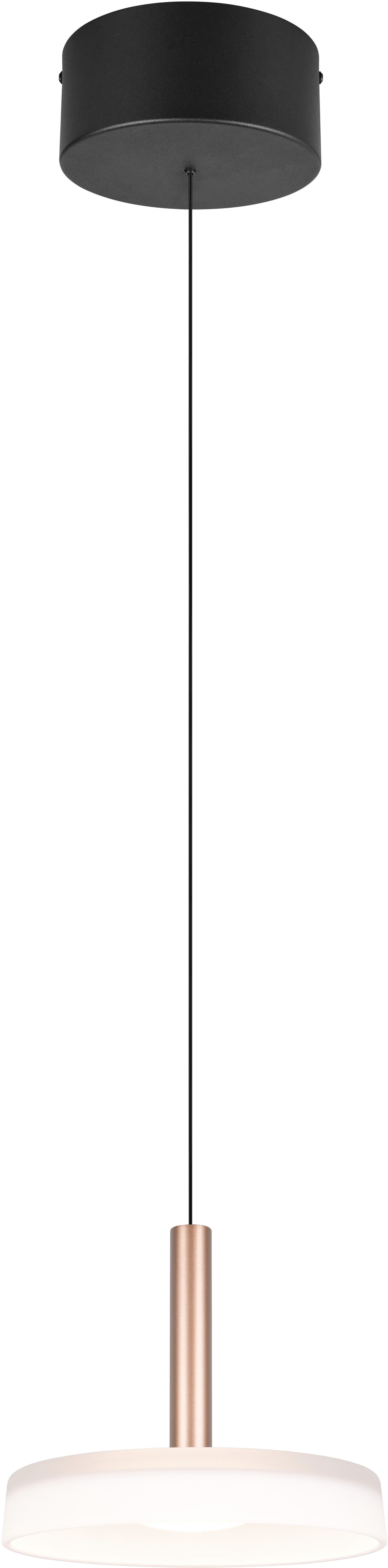 TRIO Leuchten LED Pendelleuchte CELESTE dimmbare LED Hängelampe aus Metall günstig online kaufen