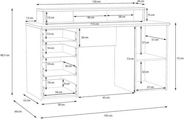 FORTE Schreibtisch NET160, viel Stauraum, Tischplatte bis 50 kg belastbar