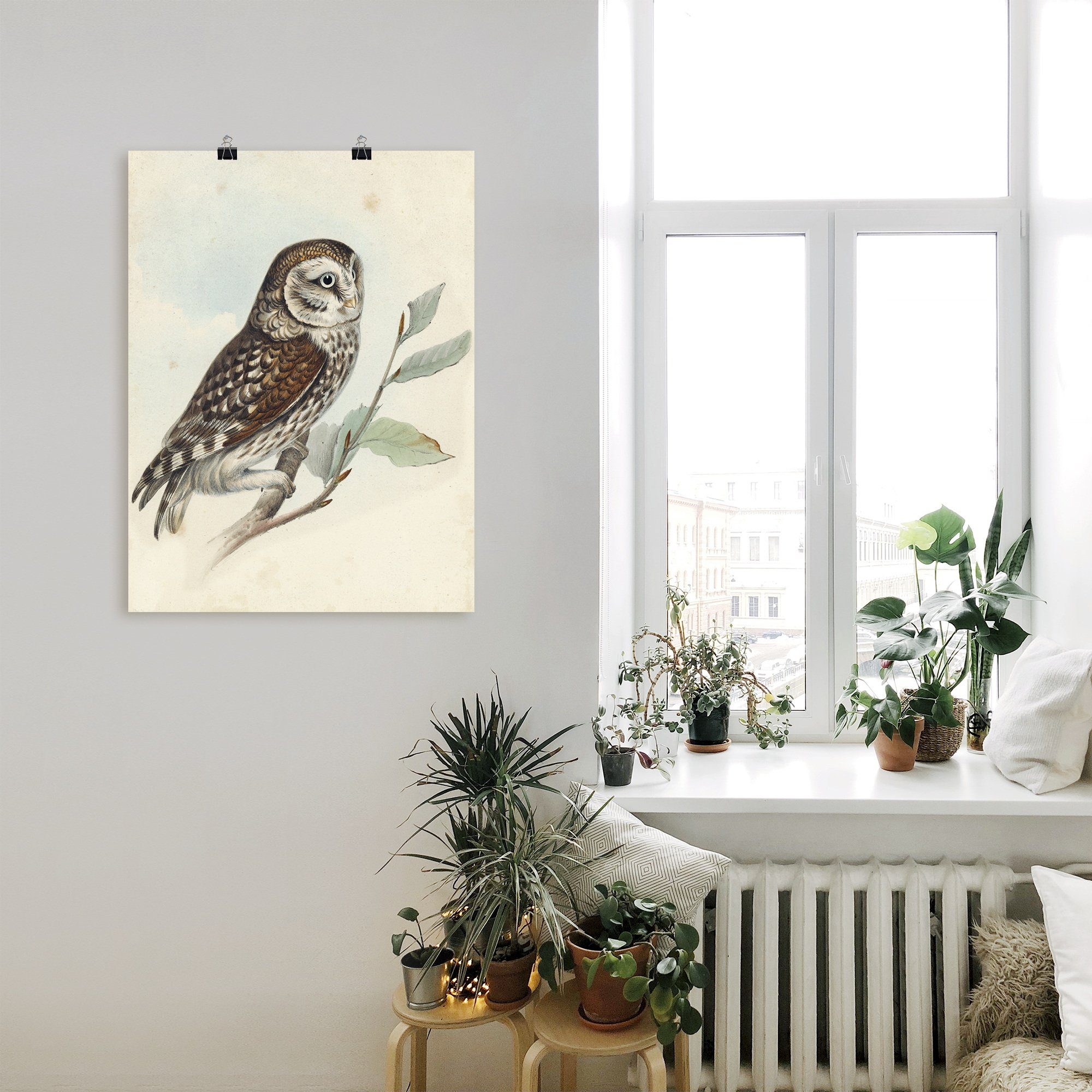 Artland Wandbild Kleine Eule, Wandaufkleber St), Vögel Poster Alubild, (1 Größen Leinwandbild, als oder in versch