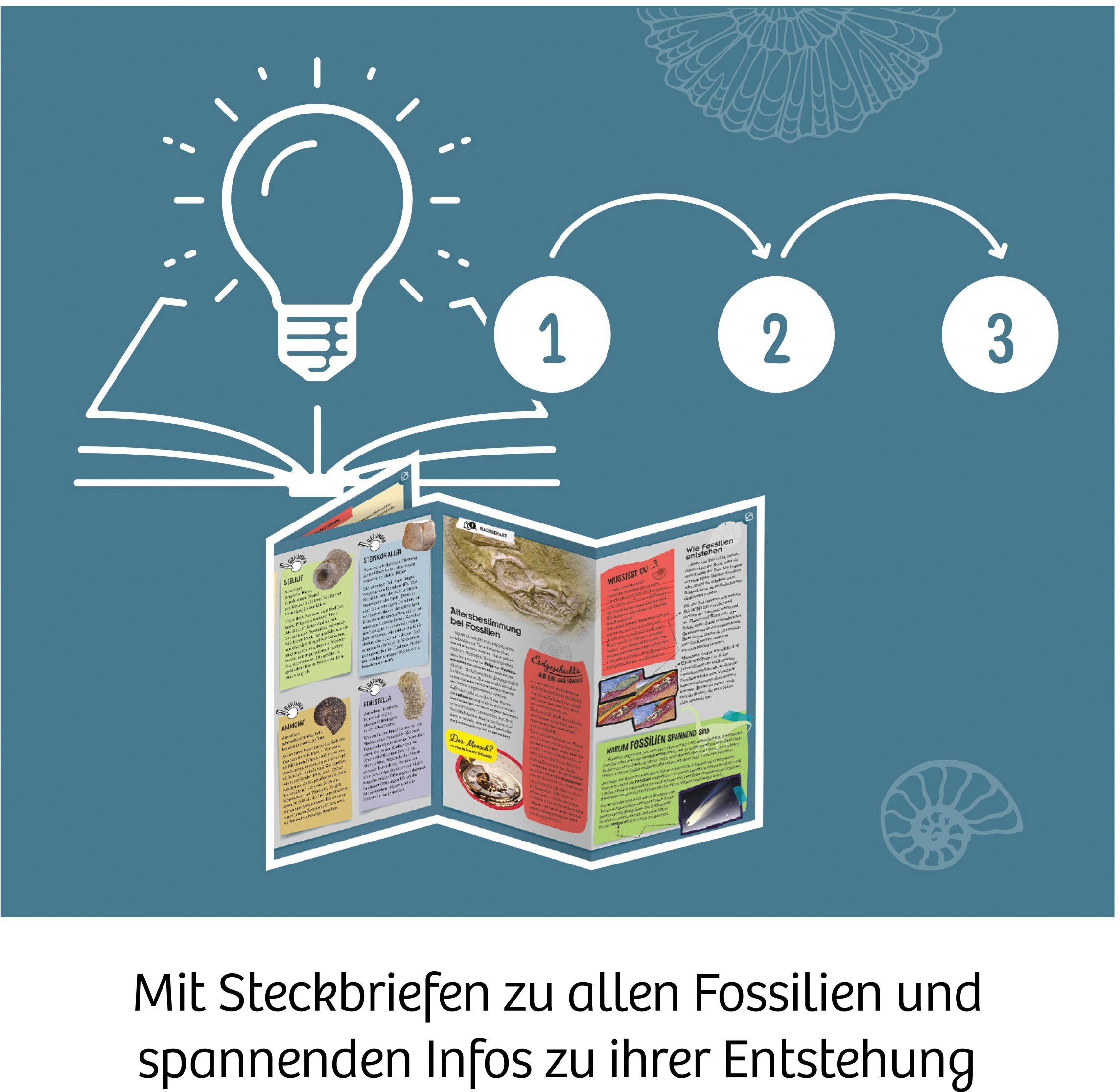 Kosmos Experimentierkasten Fossilien