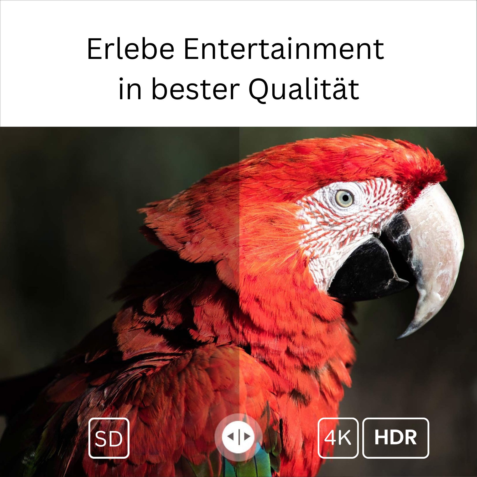 Android Streaming-Stick GD1 4K HDR Smart Streamer für Fernseher mit ...