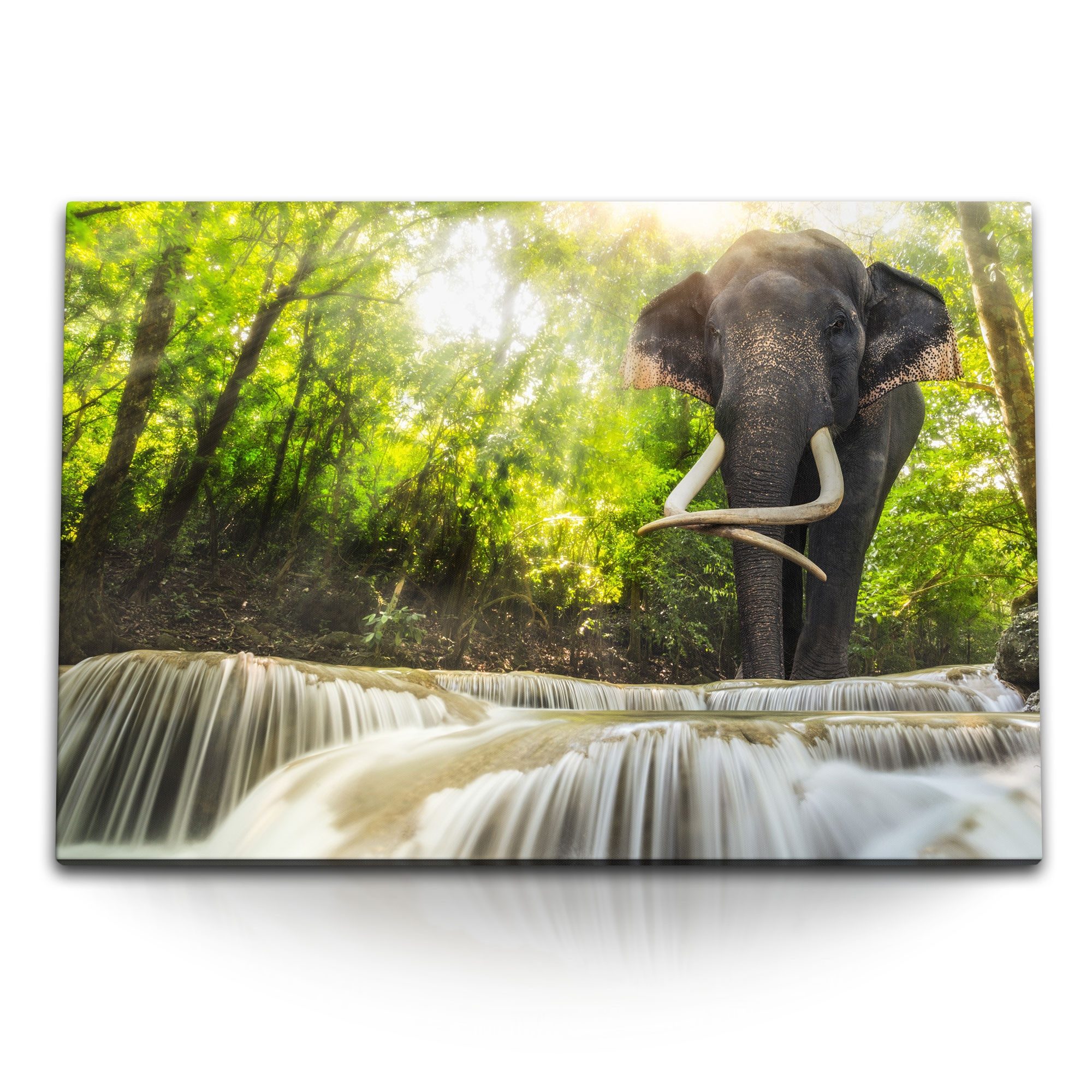 Leinwandbild 120x80cm Wandbild auf Leinwand Elefant Thailand Wasserfall Grün Natur