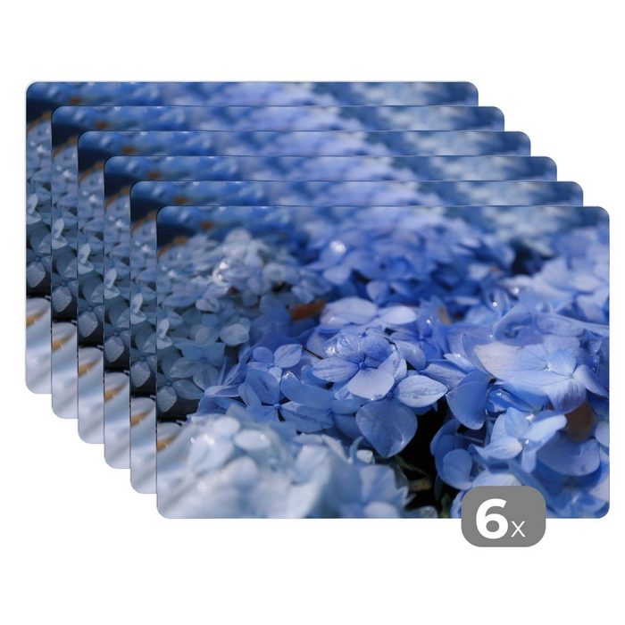 Platzset Blaue Hortensien mit Wassertropfen MuchoWow (6-St) Platzset Platzdecken Platzmatte Tischmatten Schmutzabweisend