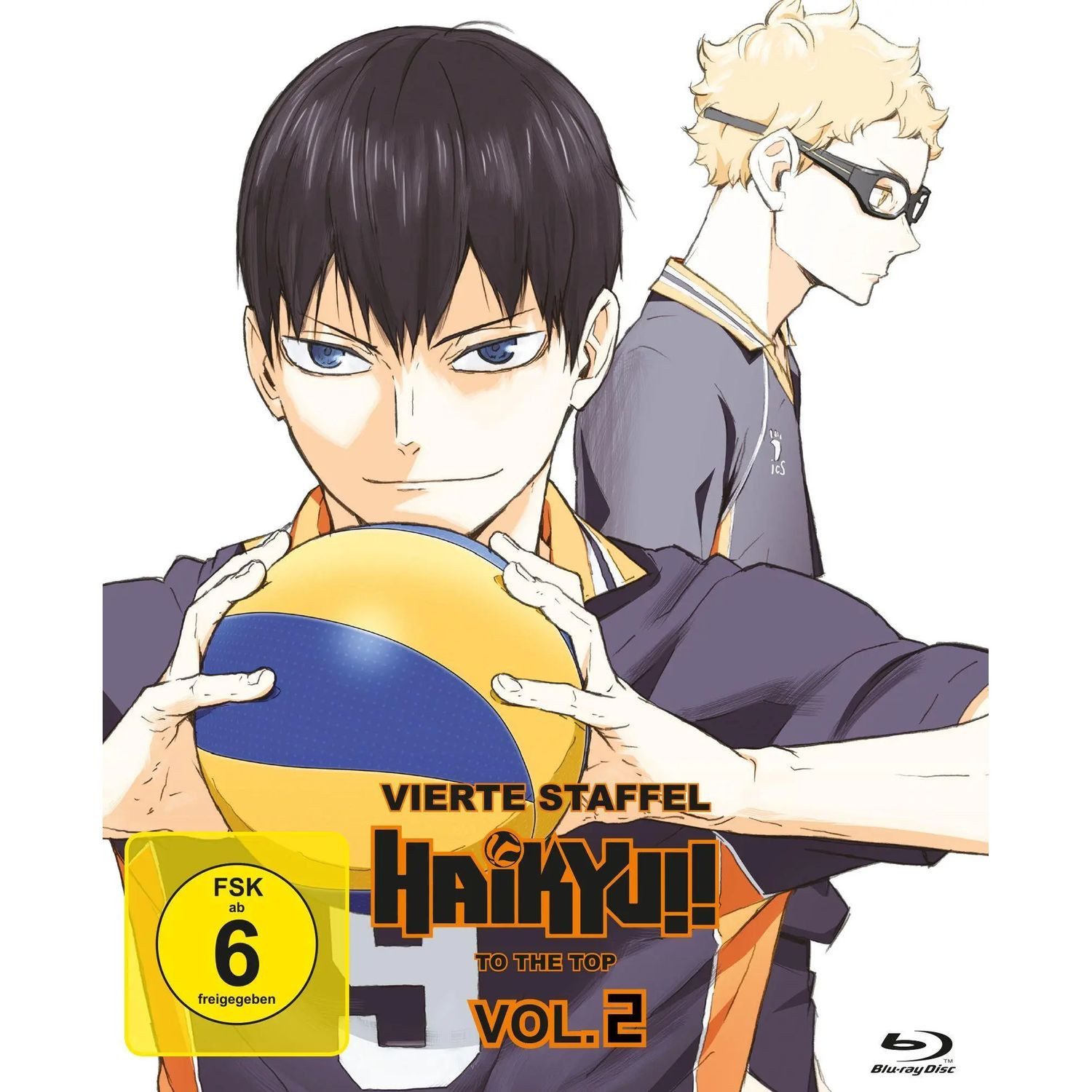 AV Visionen Blu-ray Haikyu!!
