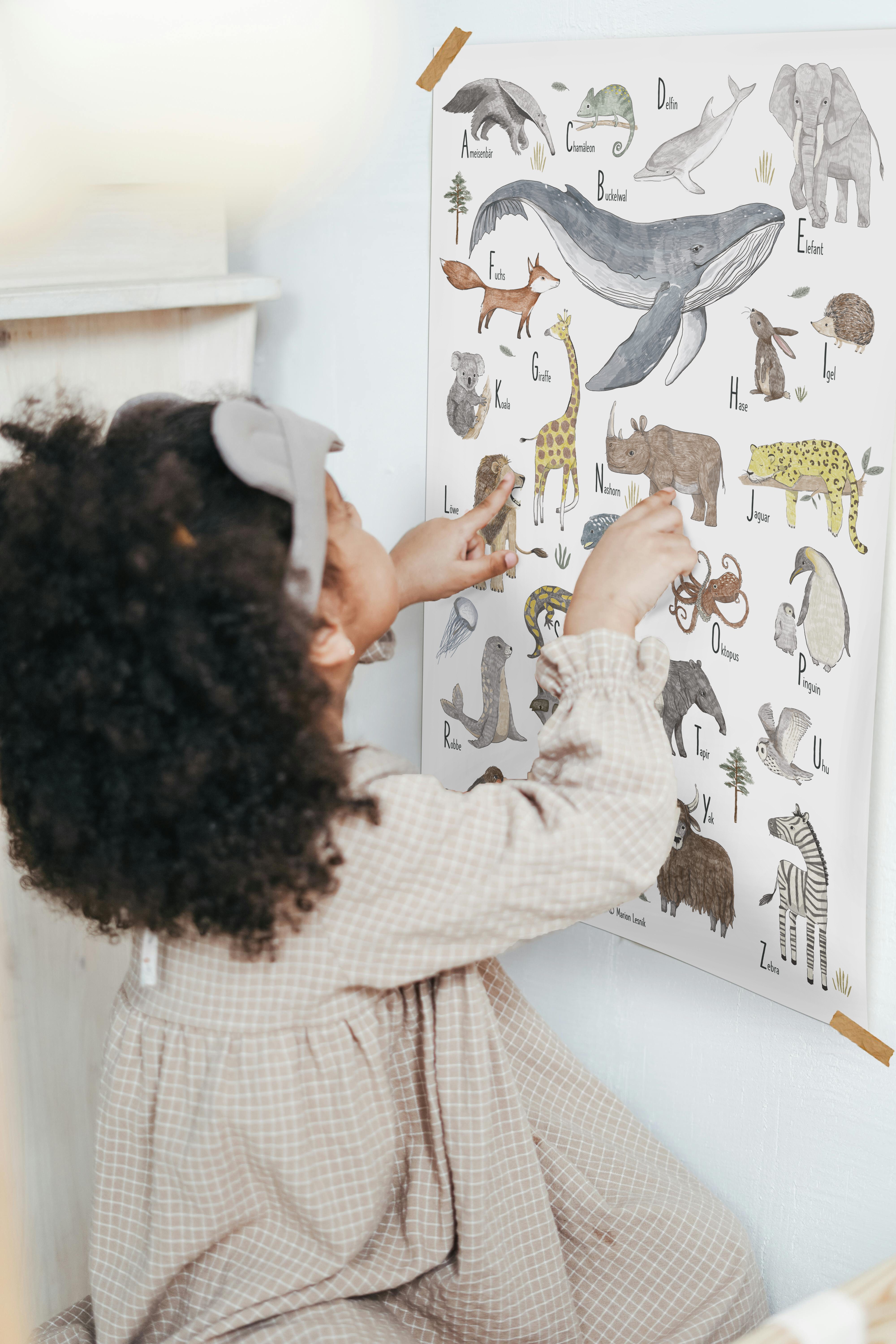 Designforlittleones Poster ABC der Tiere, 50 x 70 cm großes Alphabet Poster günstig online kaufen