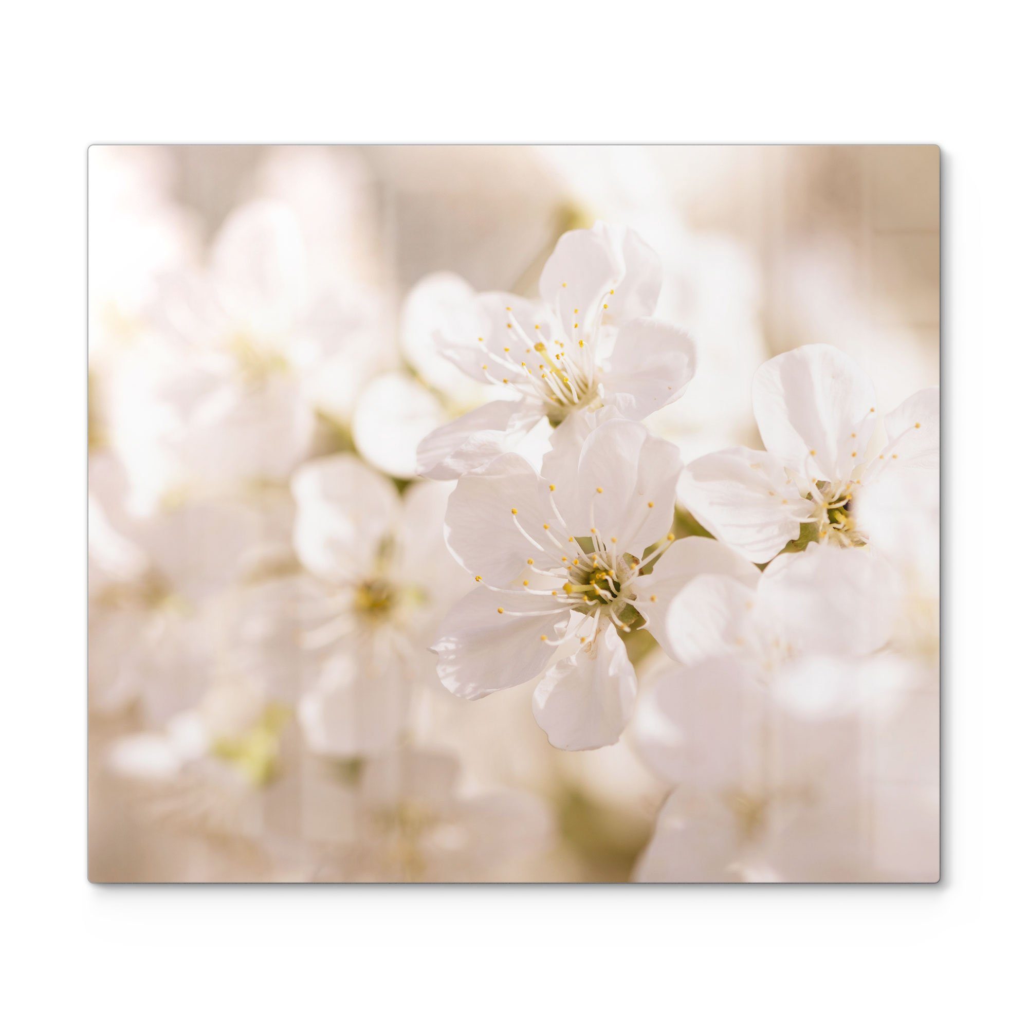 DEQORI Herdblende-/Abdeckplatte 'Geöffnete Kirschblüten', Glas, (1 tlg), Herdabdeckplatte Ceranfeld Herd Platte Abdeckung Glasplatte