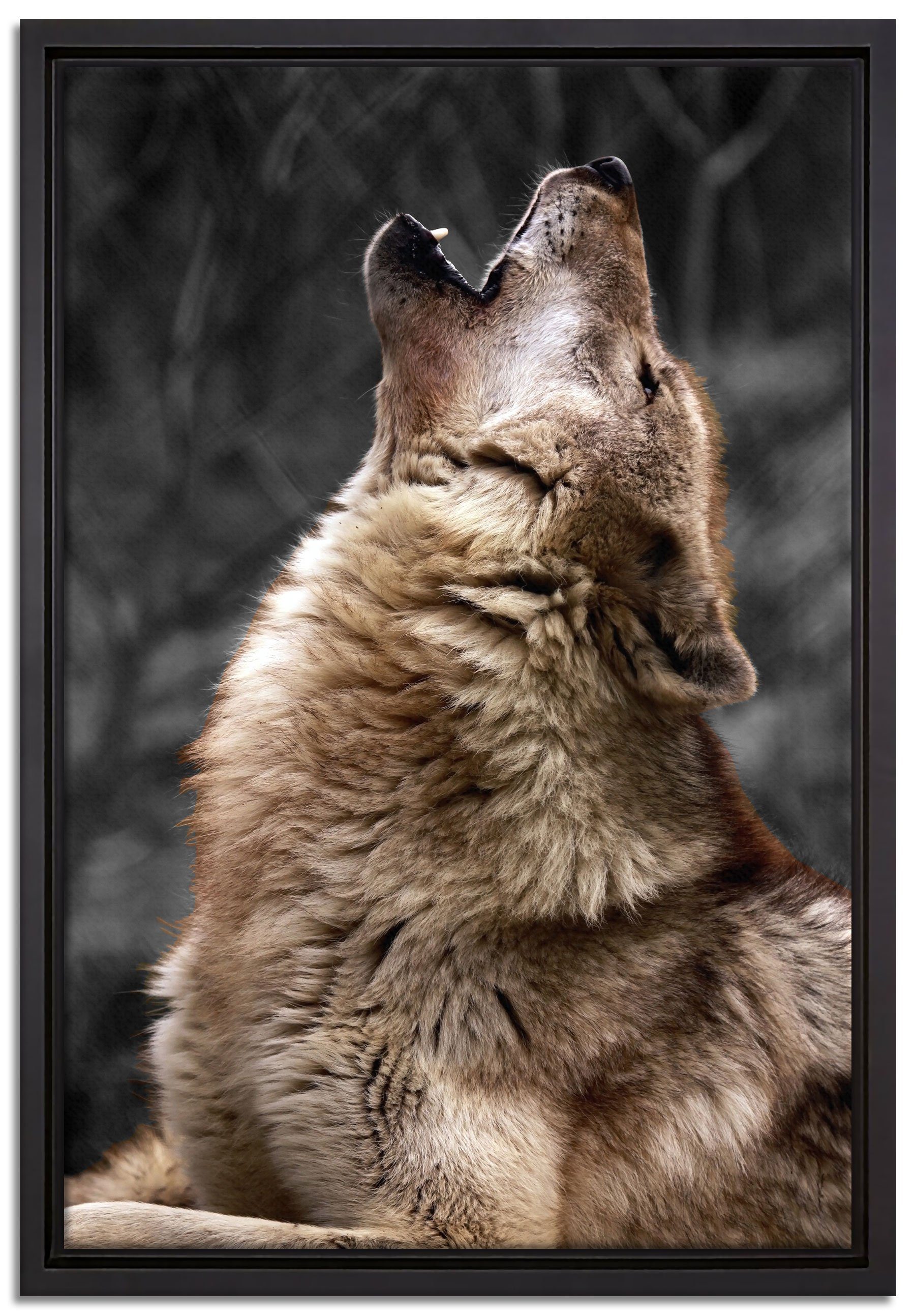 St), bespannt, Heulender (1 in Anmutiger Zackenaufhänger Leinwandbild inkl. fertig Schattenfugen-Bilderrahmen Pixxprint gefasst, Wanddekoration einem Wolf, Leinwandbild