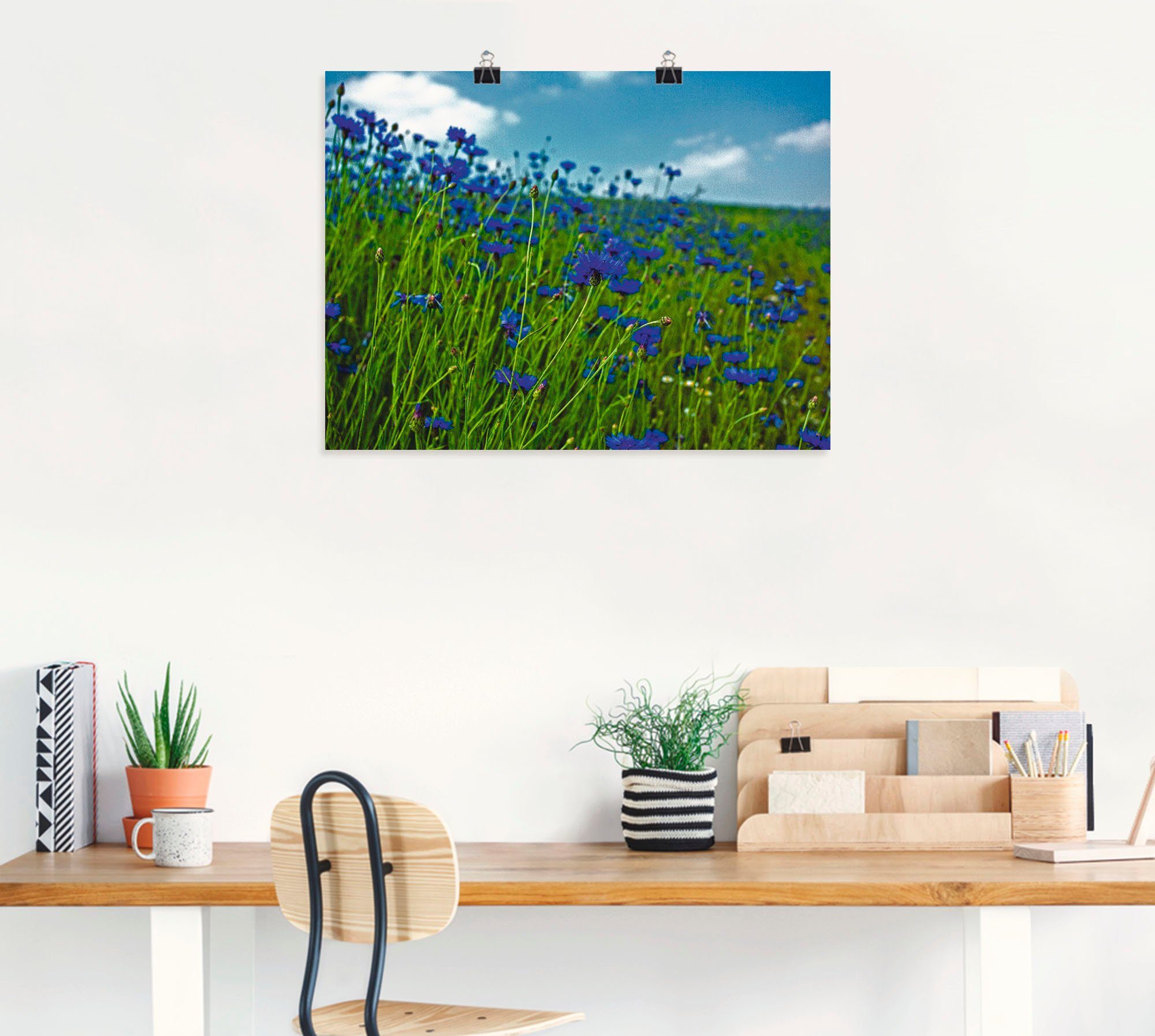 Leinwandbild, als Artland oder Größen (1 in Wandaufkleber Poster Blumenwiese Wandbild St), versch. Kornblumenwiese,