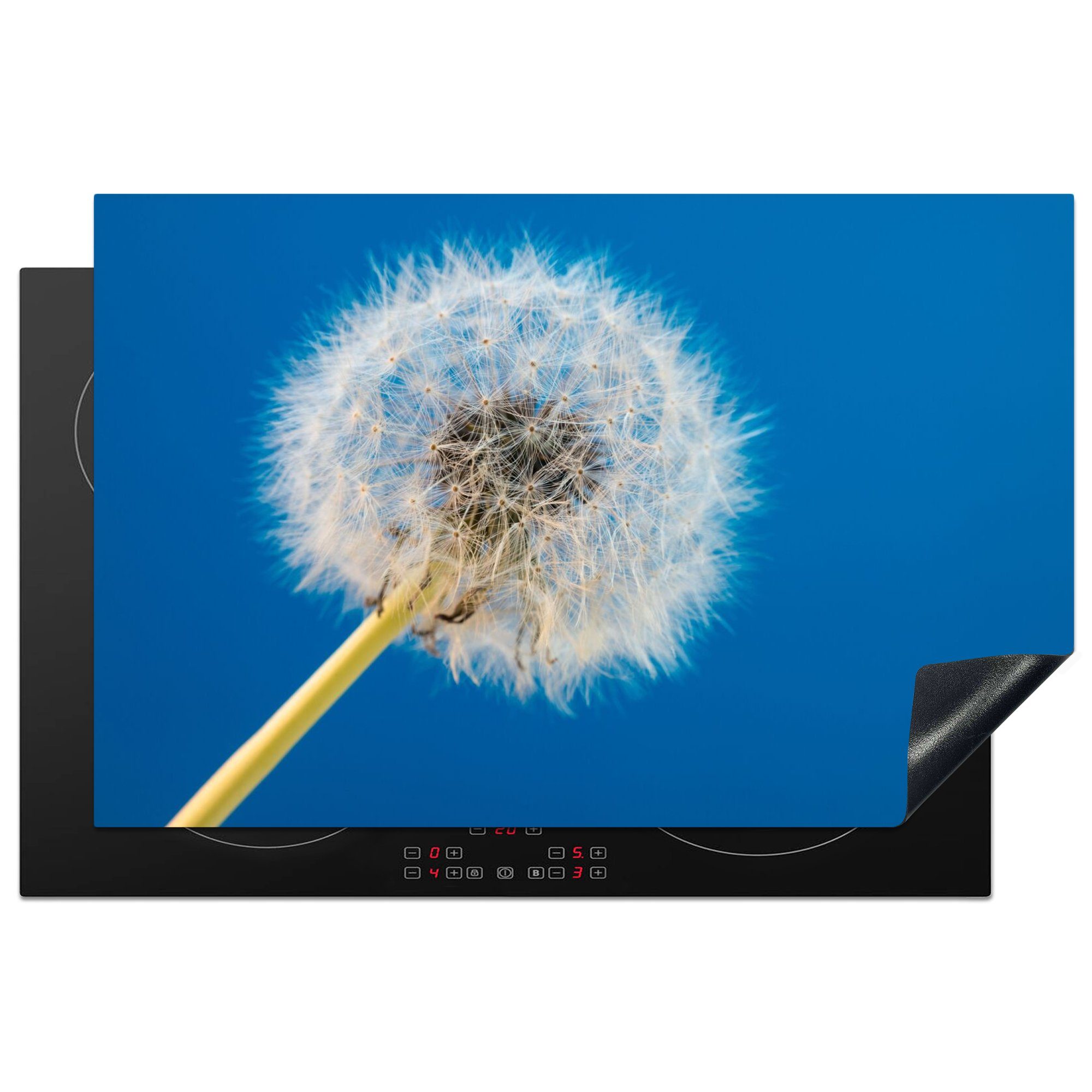 Blume für tlg), - Arbeitsplatte (1 MuchoWow Löwenzahn Vinyl, 81x52 küche Ceranfeldabdeckung, cm, - Terrasse, Herdblende-/Abdeckplatte