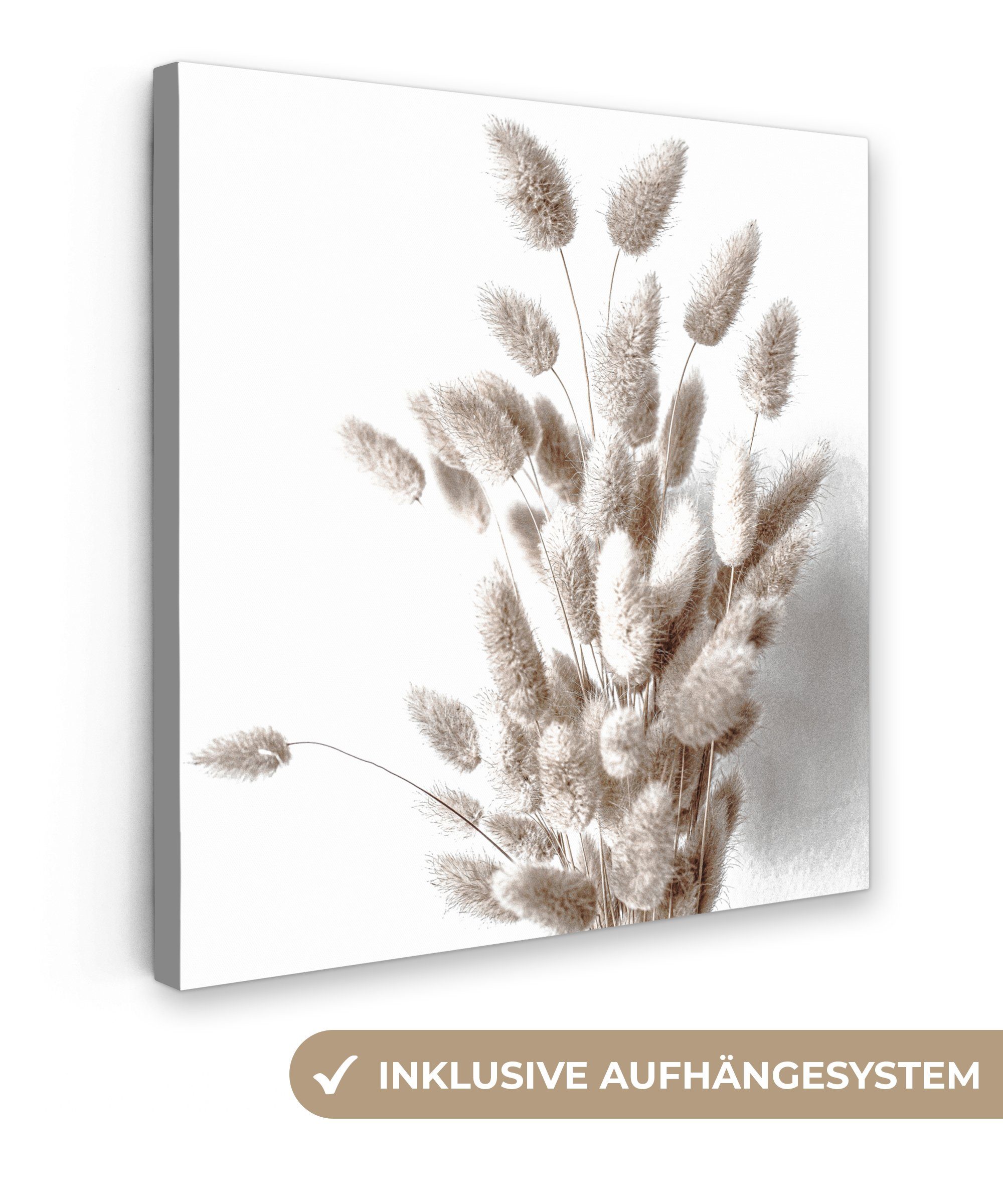 OneMillionCanvasses® Leinwandbild Pflanzen - Federn - Weiß, Fotodruck (1 St günstig online kaufen