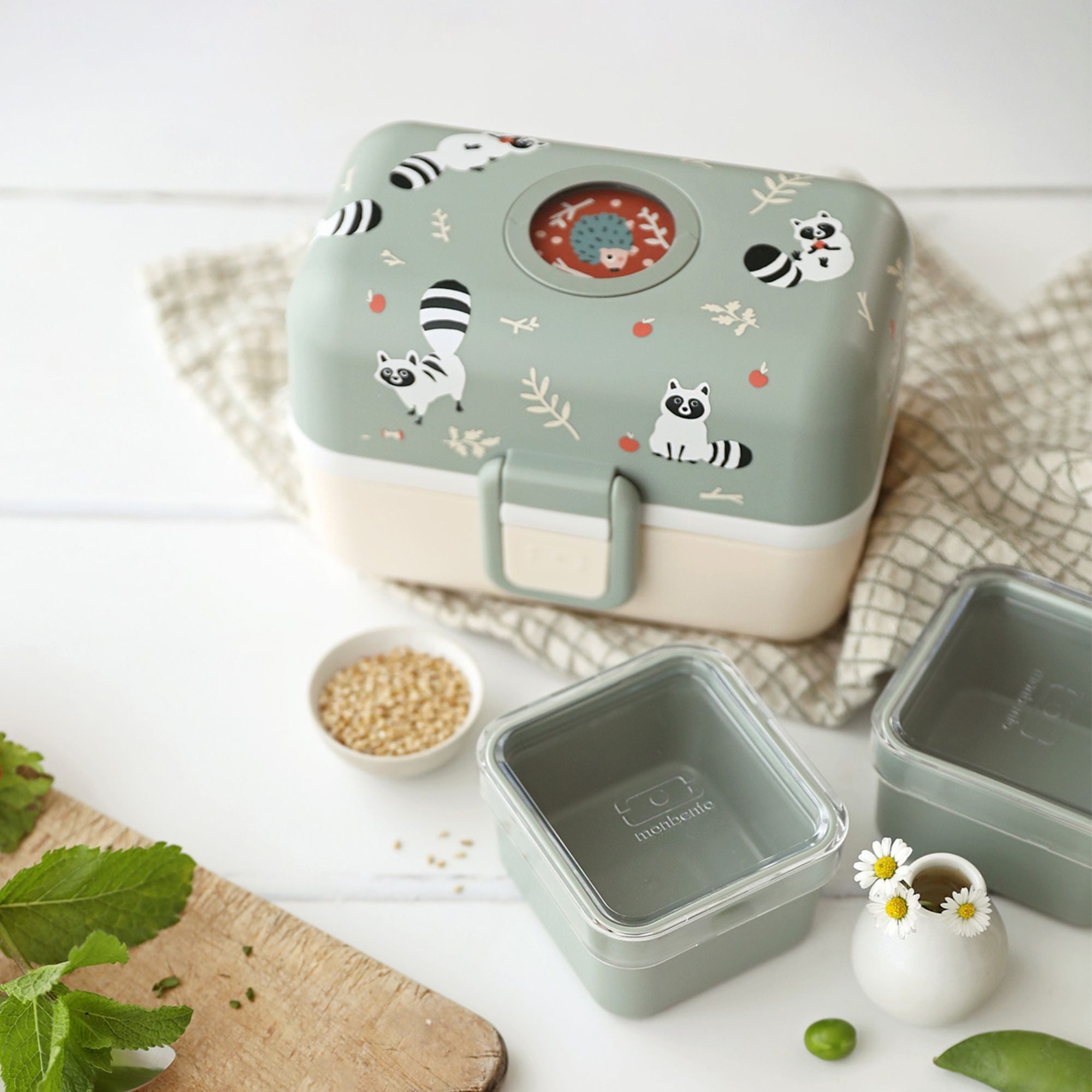 Monbento Lunchbox Kinder TRESOR 16 x 9.2cm Waschbär Grün Lunch Bentobox 0.8L