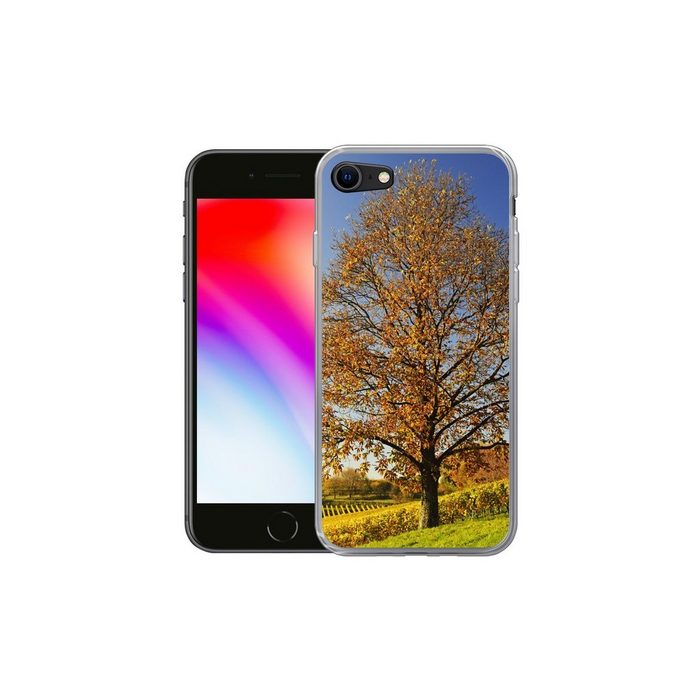 MuchoWow Handyhülle Kastanienbaum in einer Weinberglandschaft Handyhülle Apple iPhone 8 Smartphone-Bumper Print Handy Schutzhülle GU11205