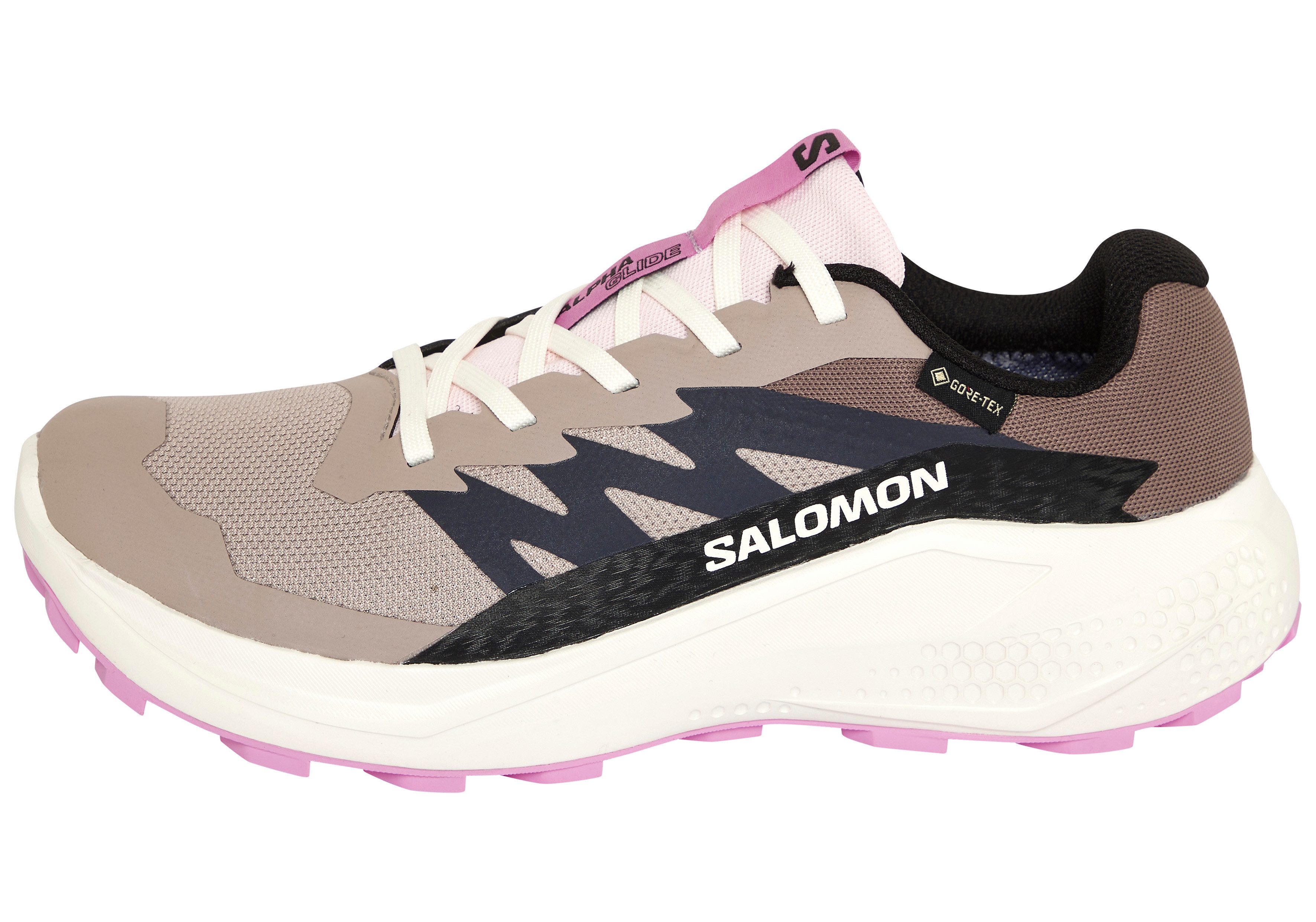 Salomon ALPHAGLIDE GORE-TEX W Laufschuh wasserdicht günstig online kaufen