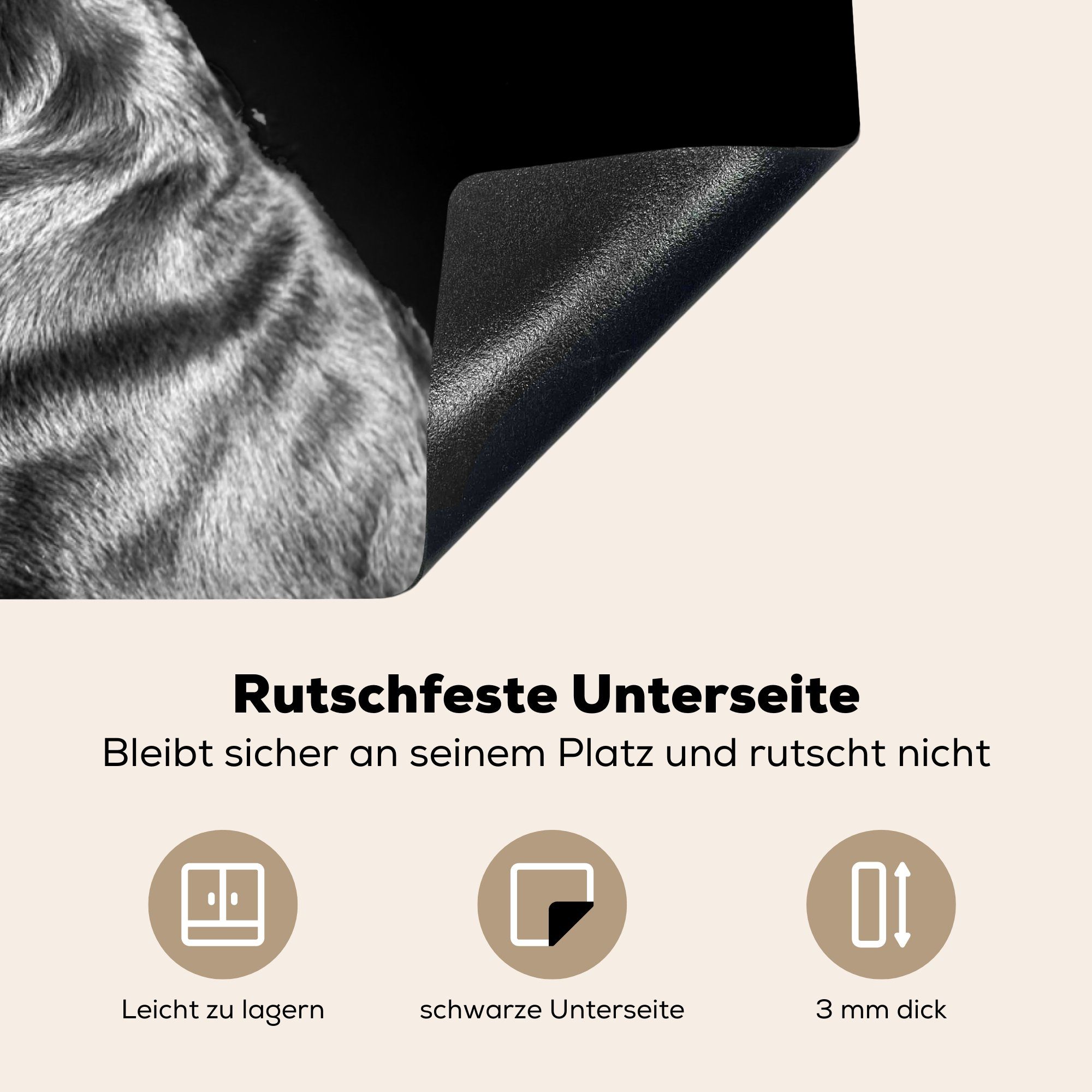 MuchoWow Herdblende-/Abdeckplatte Brauner Labrador Ceranfeldabdeckung Induktionskochfeld und schwarz die Schutz auf Vinyl, küche, - cm, schwarzem (1 Hintergrund 81x52 tlg), für weiß